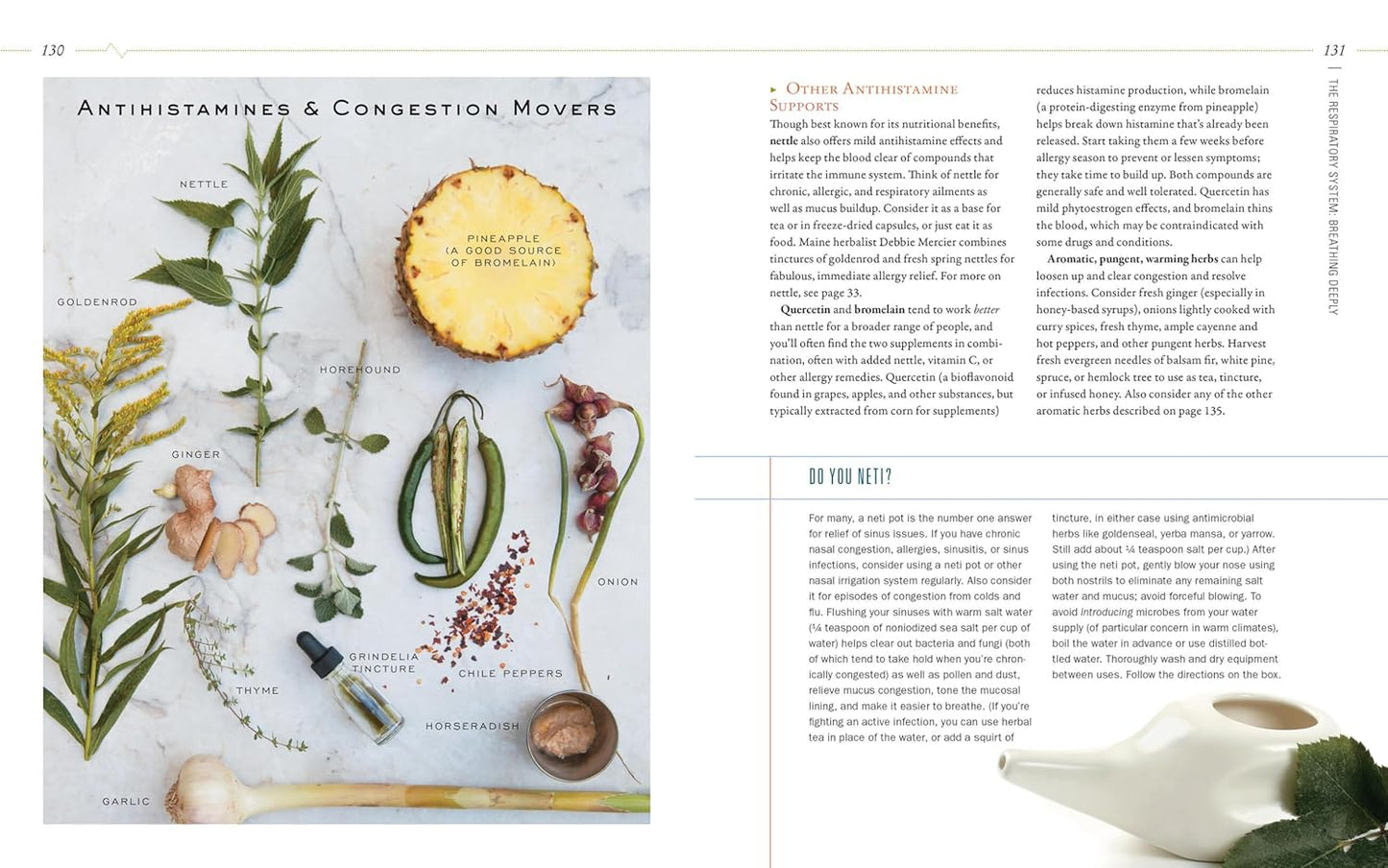 herbal-guide-to-holistic-self-care-for-achieving-body-balance-7