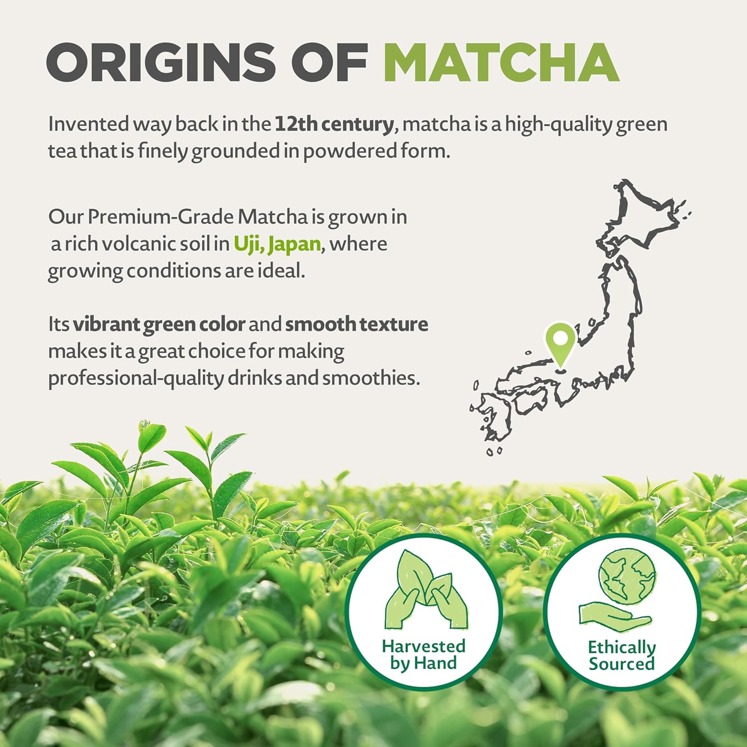 4oz-usda-organic-matcha-powder-from-japan---premium-quality-green-tea-powder-for-vegan-vegetarian-diets---naturalebio-6