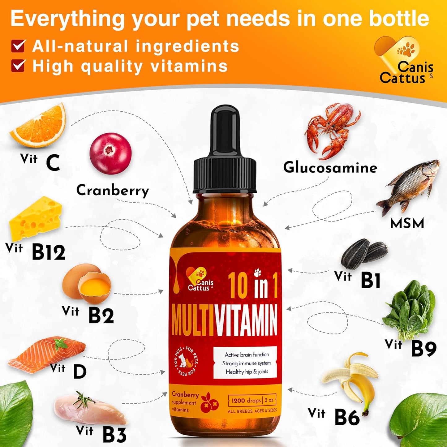 liquid-multivitamin-for-dogs-and-cats-with-glucosamine-cranberry-and-10-in-1-vitamin-complex---supports-hips-joints-skin-coat-allergies-coughs-and-utis---2-oz-bottle-2