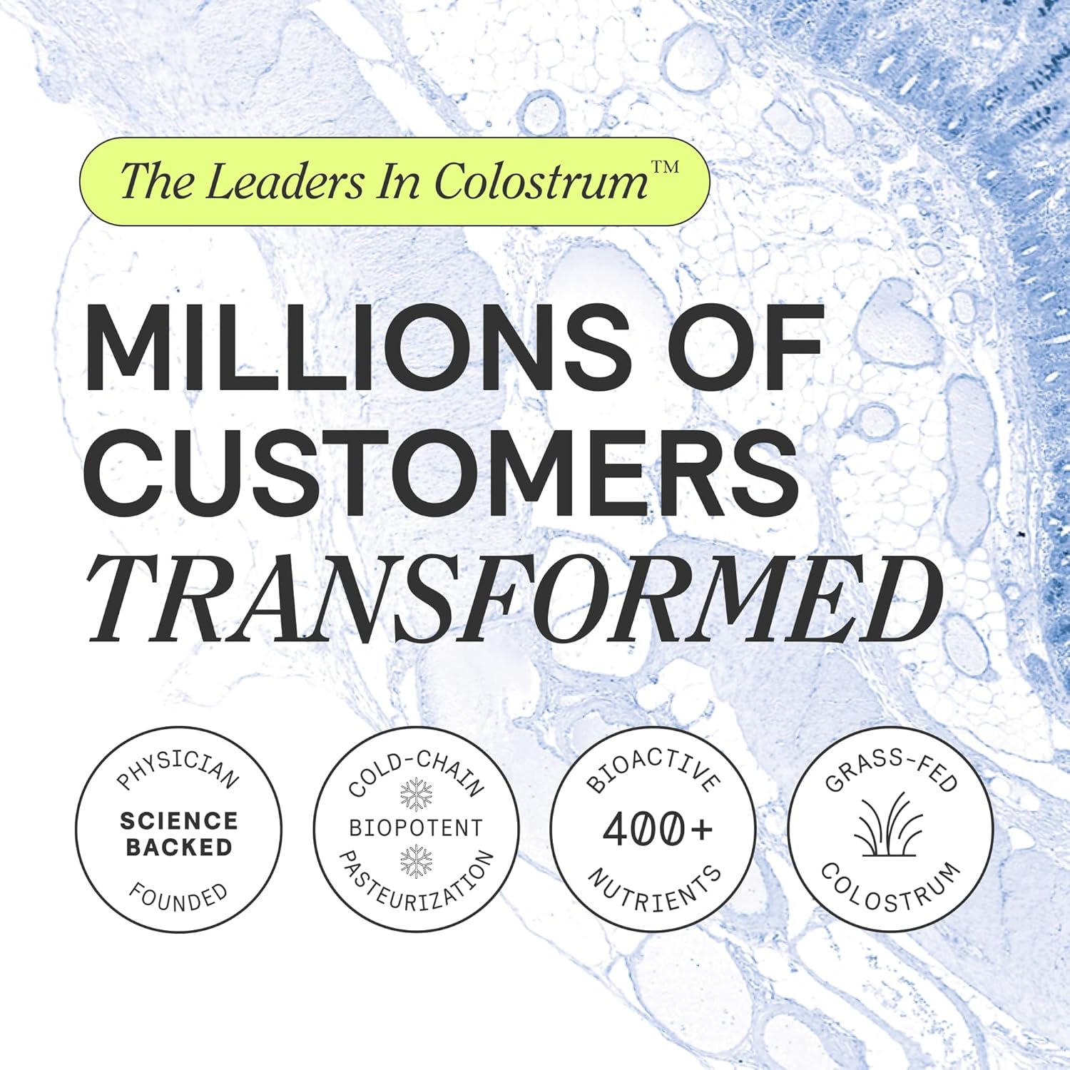 armra-colostrum-premium-powder---grass-fed-gut-health-immunity-boost-skin-hair-support---400-bioactive-nutrients---keto-gluten-fat-free---blood-orange-bundle-90-servings-2