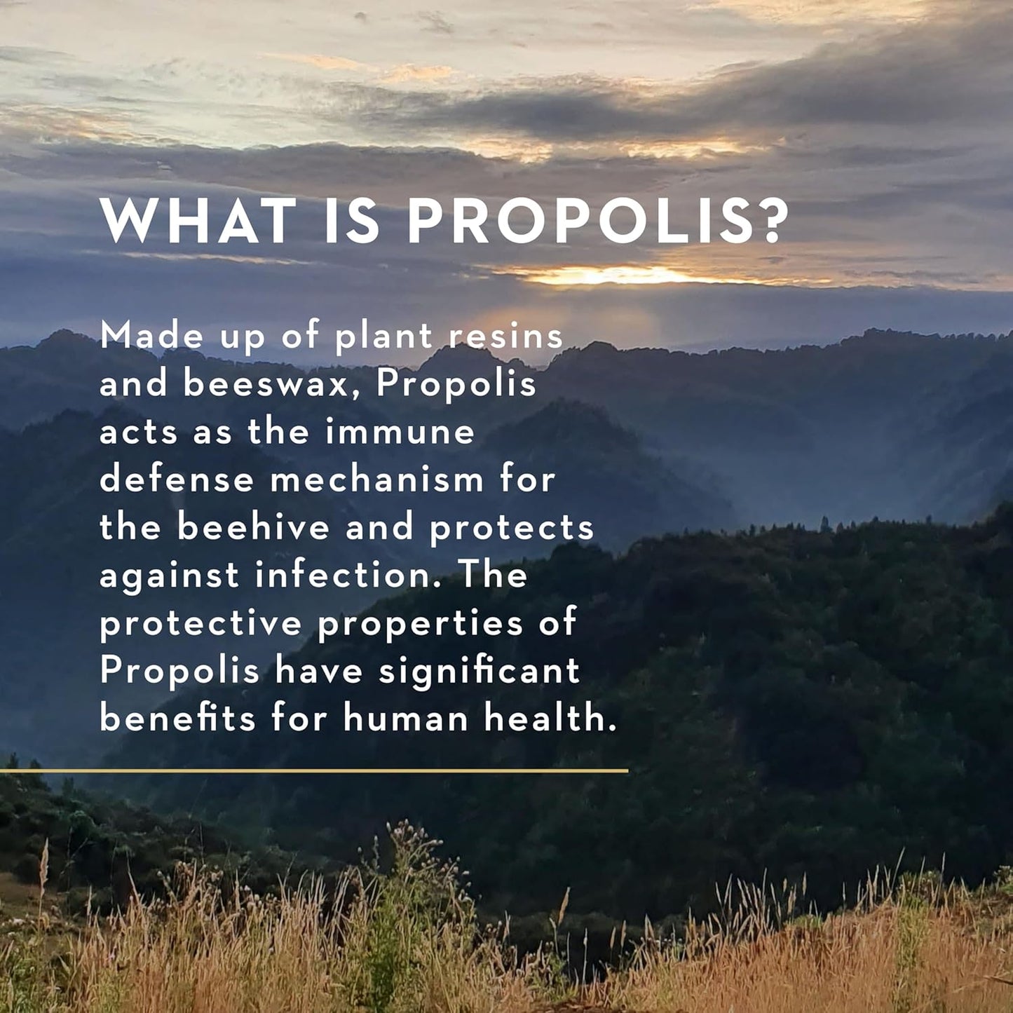 manuka-health-manuka-honey-throat-spray-with-propolis-067-fl-oz---mgo-400-bio30-new-zealand-propolis---protects-and-freshens-your-throat-4