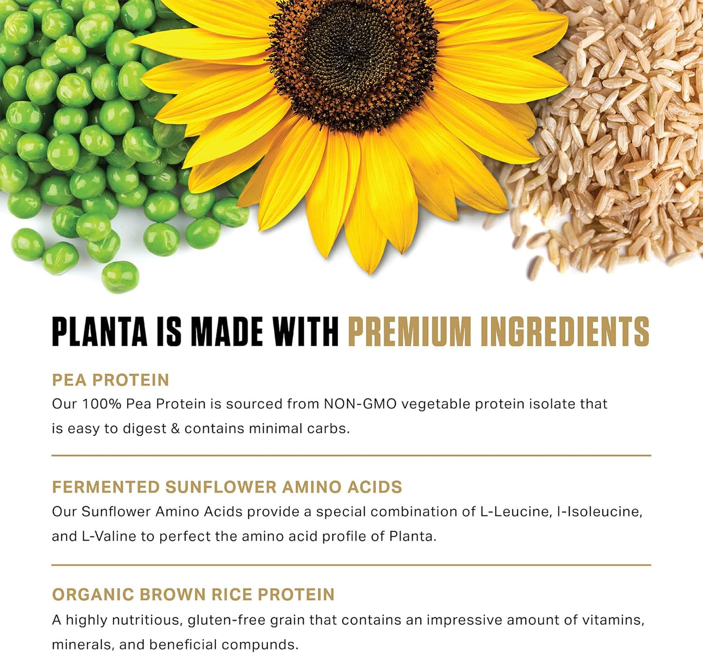 ambrosia-planta-peanut-butter-banana-organic-plant-based-protein---premium-quality-6