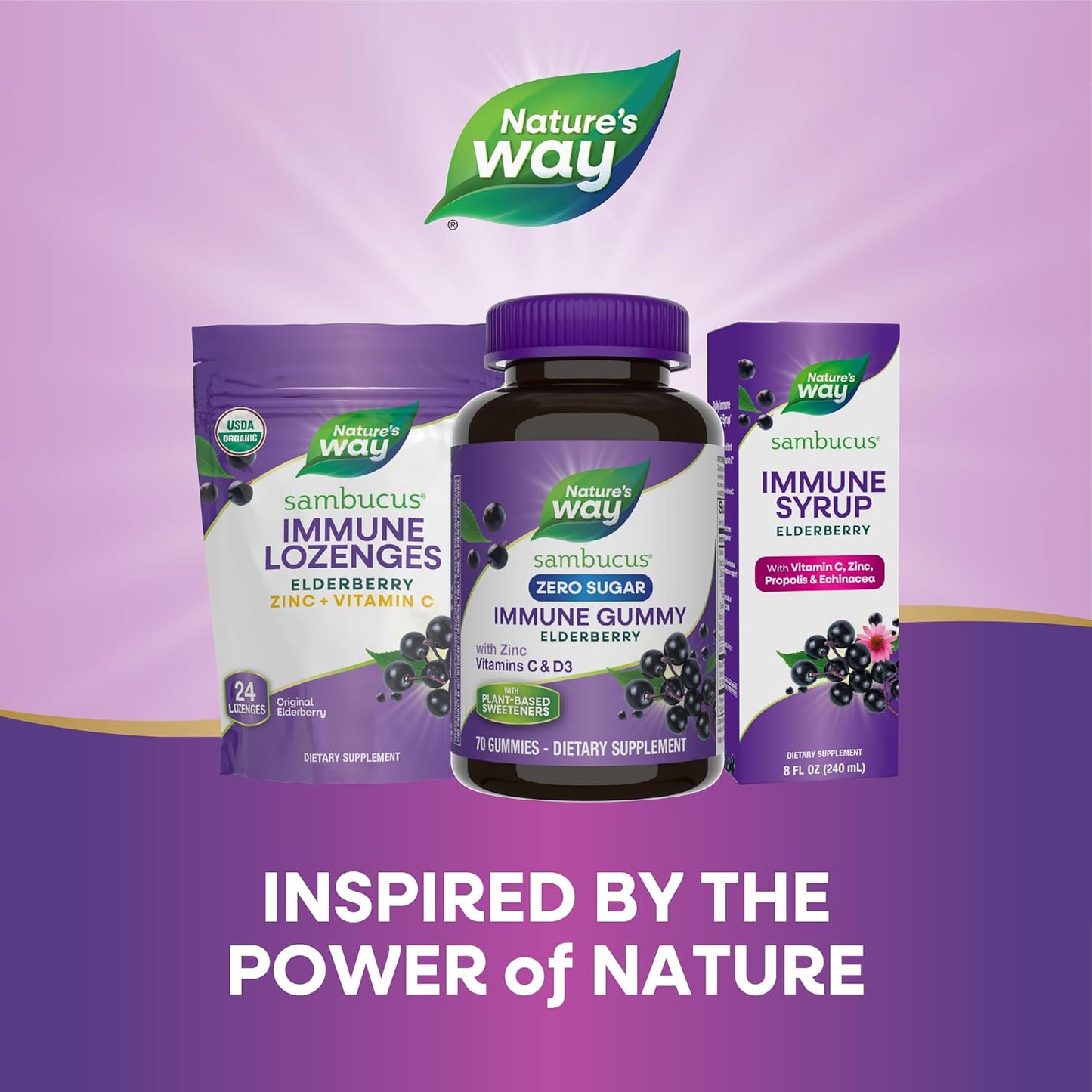 Nature's Way Sambucus Zero Sugar Immune Gummies - Black Elderberry, Vitamin C, D3, Zinc - 70 Plant-Based Gummies for Daily Immune Support - Espot.com.au