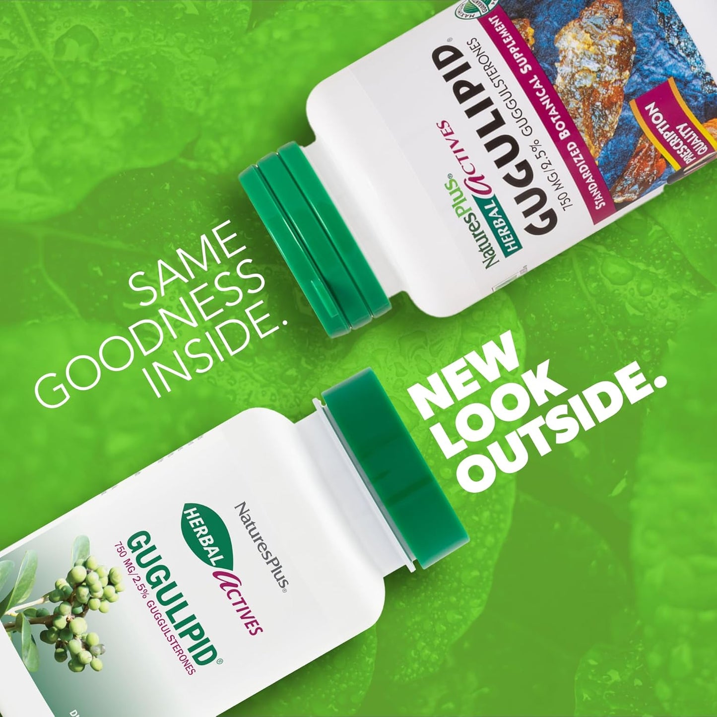 Herbal Actives Gugulipid Capsules - 750mg with 2.5% Guggulsterones - Ayurvedic Botanical Supplement - Maximum Potency - Vegetarian & Gluten-Free - 60 Servings - Espot.com.au