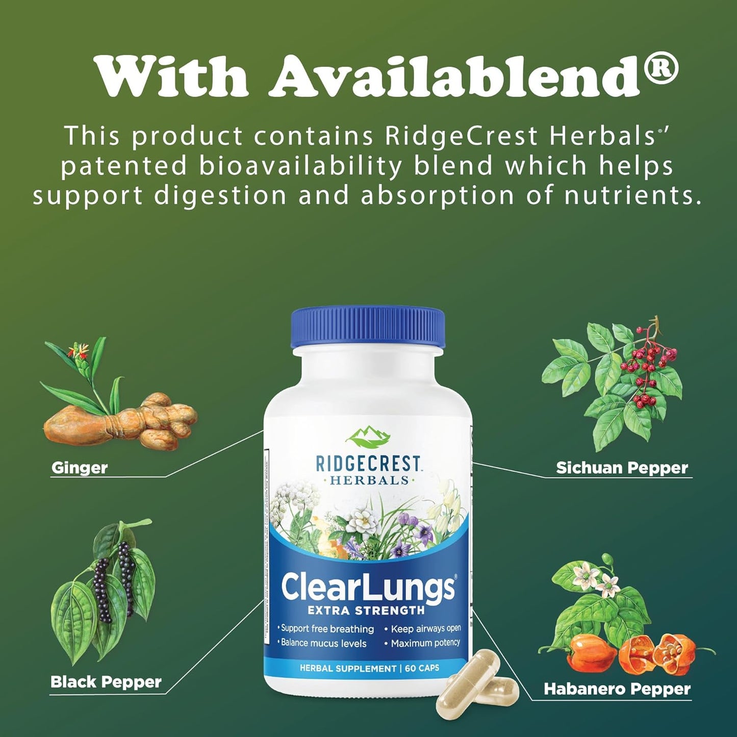 ridgecrest-herbals-clearlungs-extra-strength-capsules-for-natural-lung-and-nasal-health-bronchial-and-respiratory-support-with-mucus-relief---60-count-4
