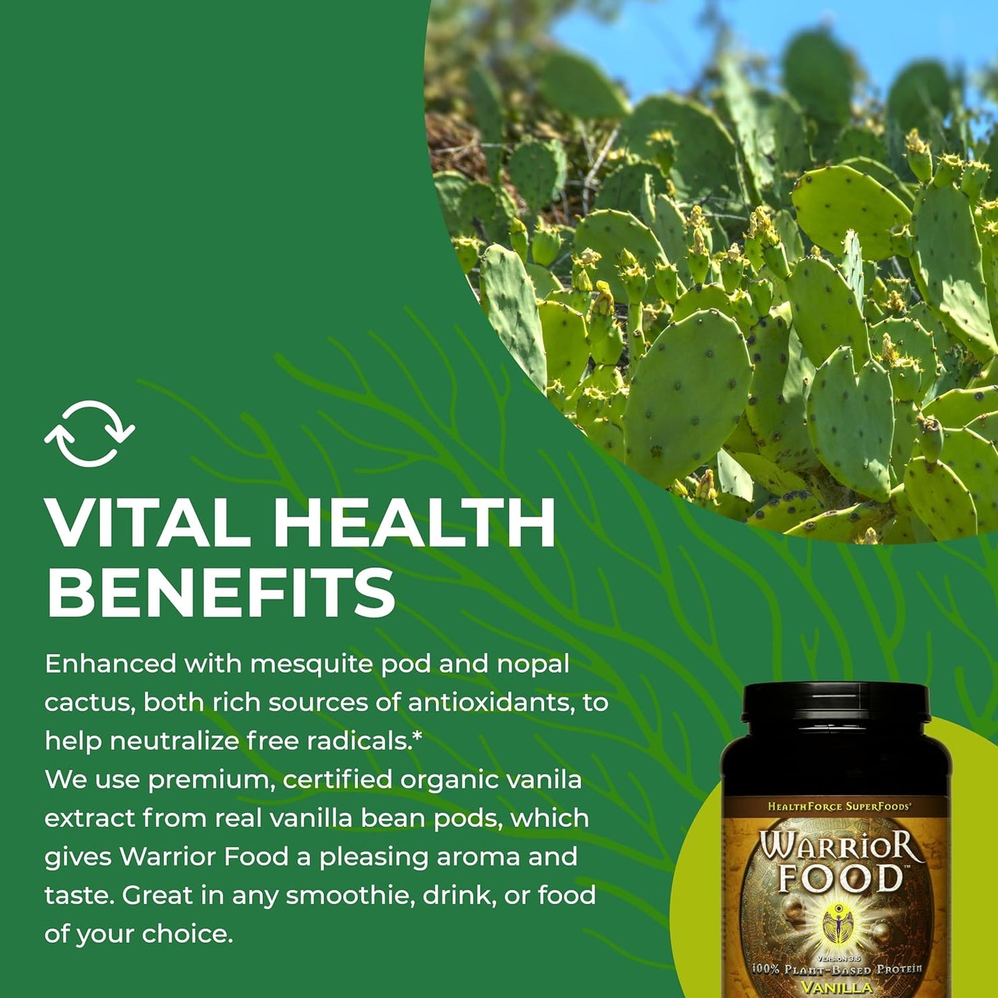 vanilla-flavored-healthforce-superfoods-warrior-protein-powder---1000g-6