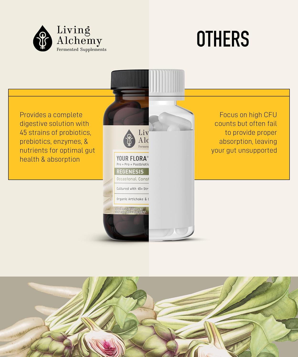non-gmo-probiotic-regenesis-with-fermented-soybean-artichoke-chicory-for-gut-wellness---60-pcs---prebiotics-postbiotics-digestive-enzymes-7
