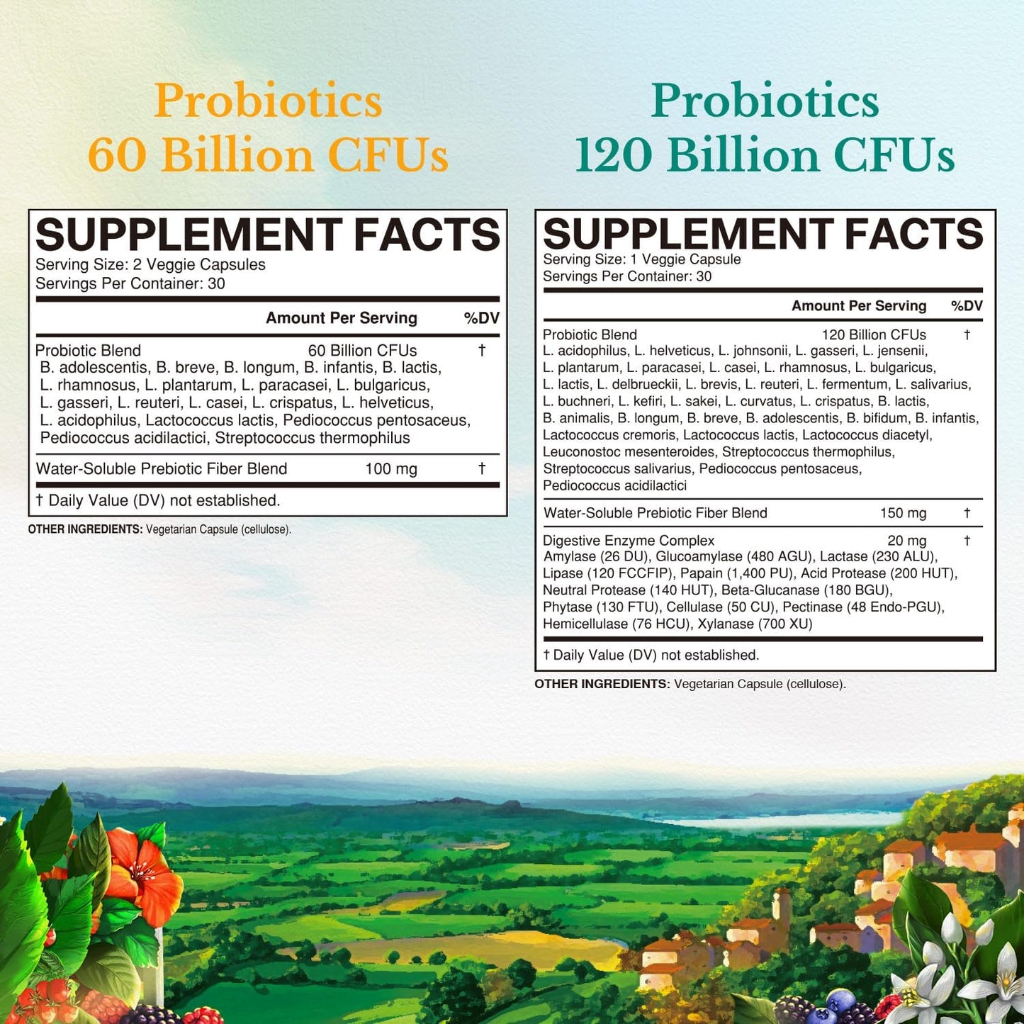 vitalitown-probiotic-bundle---60-billion-120-billion-cfus---30-day-supply---shelf-stable-for-digestive-immune-health-2