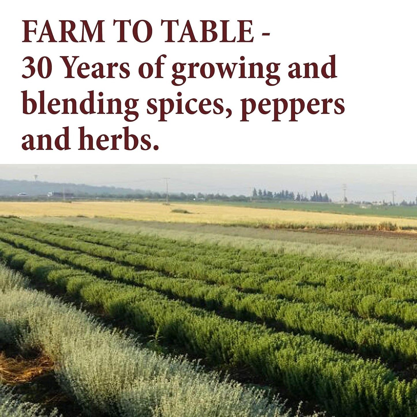 4-oz-aleppo-pepper-sumac-powder-and-urfa-biber-pepper-blend---premium-quality-middle-eastern-spice-mix-9