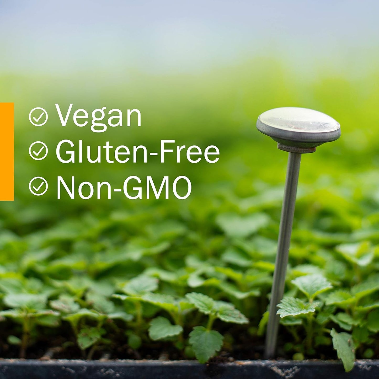 herb-pharm-digestive-support-detox-kit---fennel-dandelion-liquid-extracts-1-ounce-each---certified-organic-alcohol-free-6