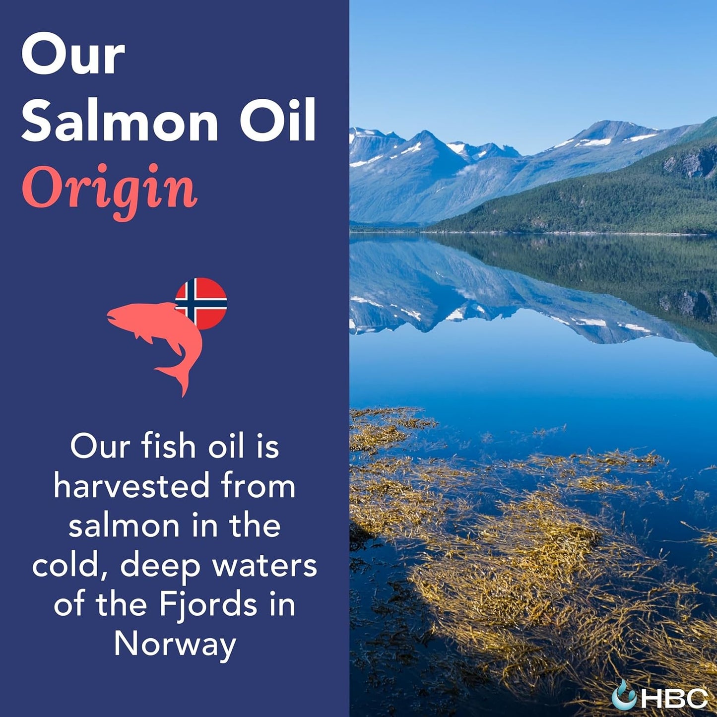 high-strength-omega-3-fish-oil-capsules-with-vitamin-k2---1000mg-norwegian-salmon-oil-epa-dha---burpless-fatty-acids-supplement-for-eyes-brain-heart-immunity---90-capsules---cardio-support-5