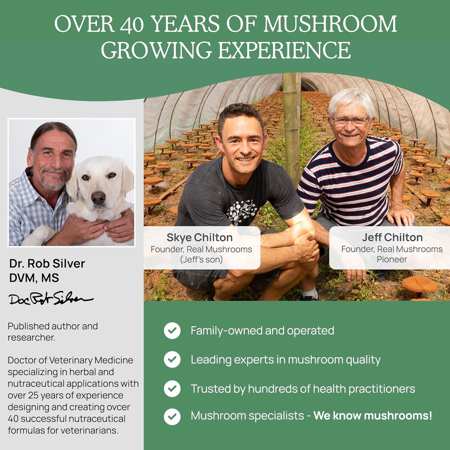 bundle-of-5-defenders-mushroom-capsules-for-humans-and-pets---immune-strength-and-wellbeing---chaga-shiitake-maitake-turkey-tail-reishi---vegan-non-gmo---200ct-90ct-9
