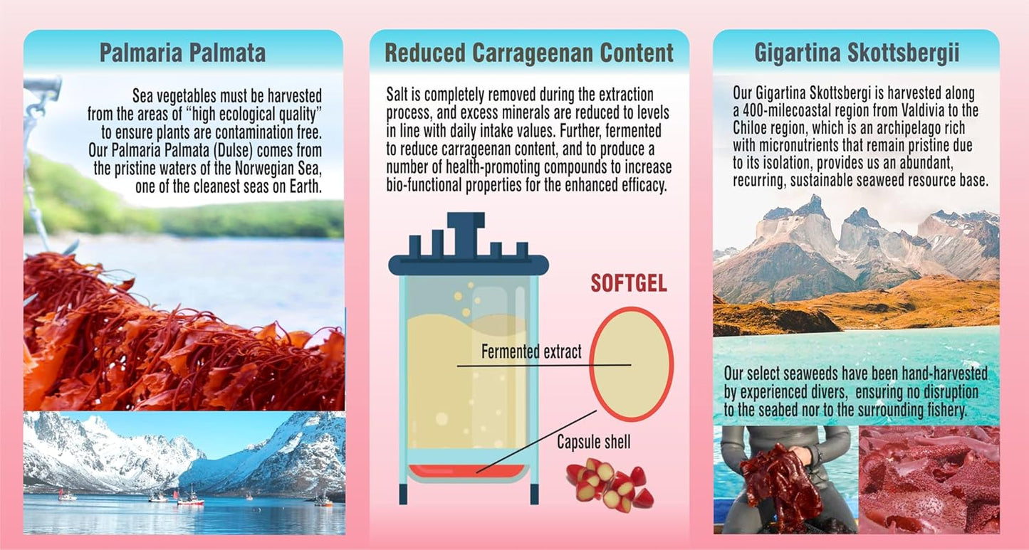 fermented-red-marine-algae-complex-with-reduced-carrageenan---gigartina-dulse-softgels-120-count-3