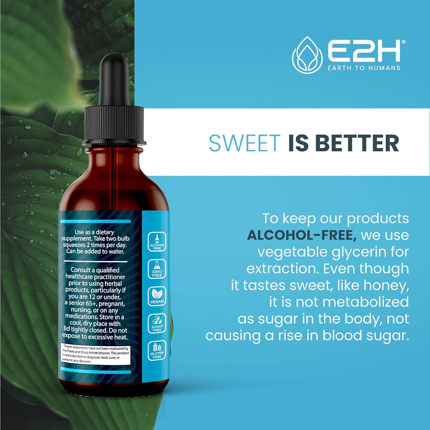 liver-support-turmeric-curcumin-bundle---e2h-earth-to-humans-e2h-2-pack---4-fl-oz-single-bottle---2-fl-oz-vegan-non-gmo-liquid-supplements-6-fl-oz-total-4