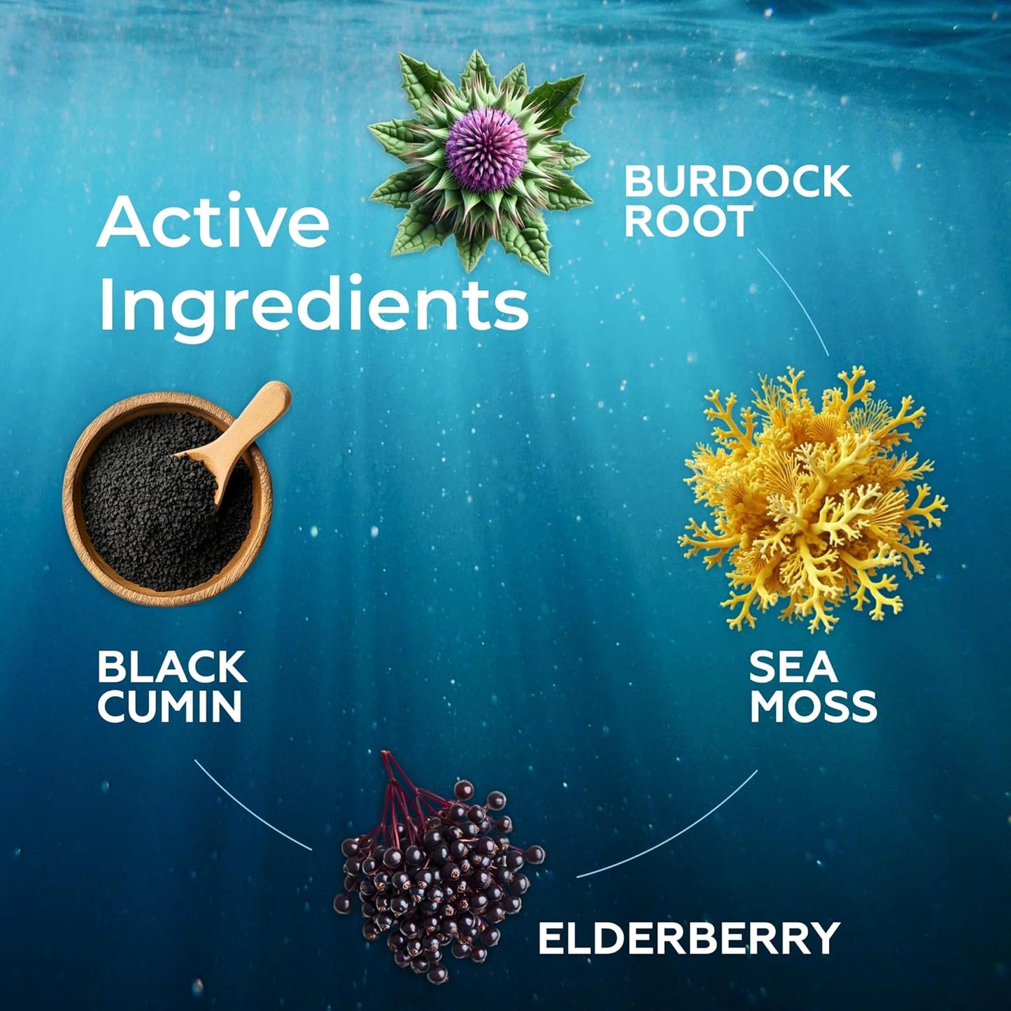 premium-trueseamoss-drops-3000mg-with-elderberry-black-seed-oil-for-digestive-immune-support-skin-health---2-fl-oz-berry-flavor-6