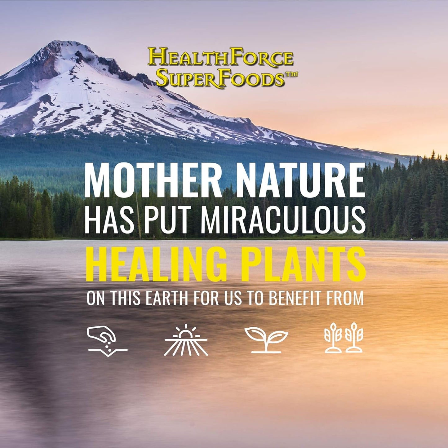 healthforce-superfoods-green-protein-alchemy-powder---500g-plant-based-protein-supplement-for-optimal-health-and-wellness-4