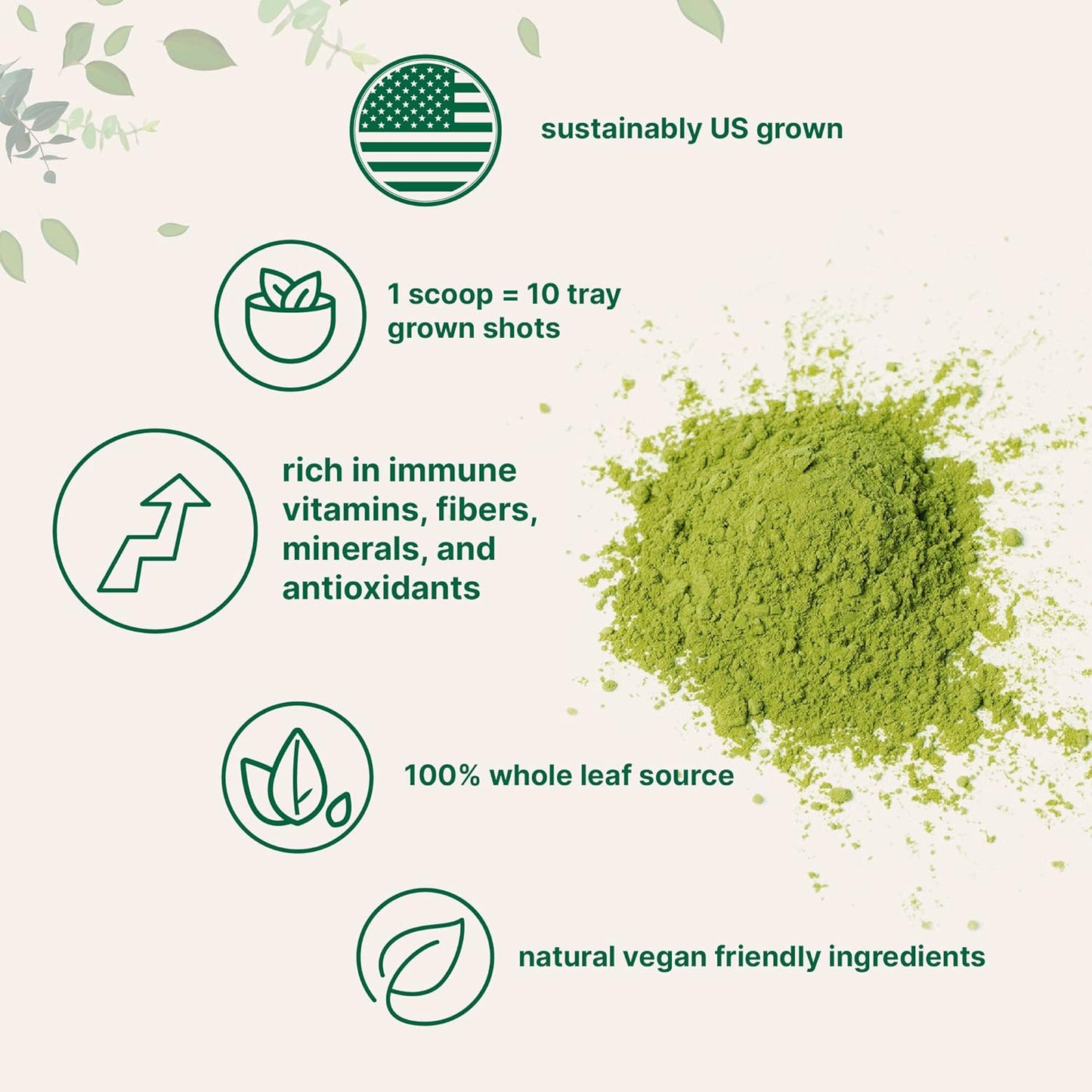 16oz-organic-wheat-grass-powder---sustainably-grown-in-the-us-immune-boosting-digestive-support-vegan-friendly---rich-in-vitamins-minerals-3