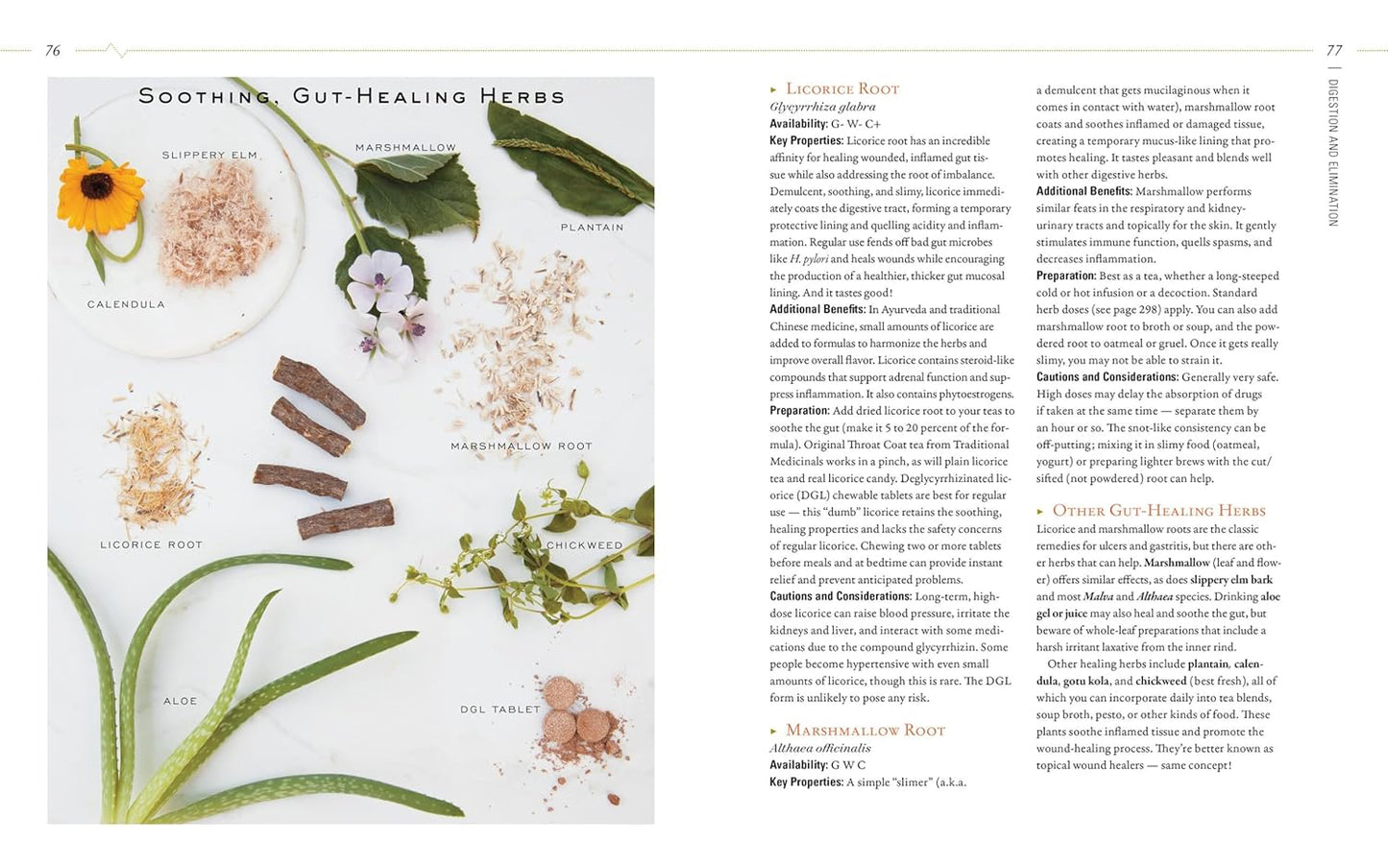 herbal-guide-to-holistic-self-care-for-achieving-body-balance-5