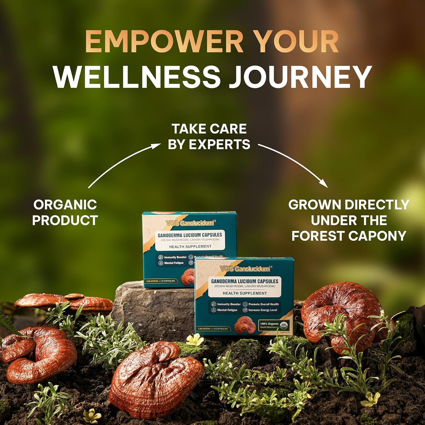 immune-boosting-red-reishi-mushroom-combo-capsules-dried-slices-for-cooking-energy-booster---vos-ganolucidum-30-pills-176-oz-3
