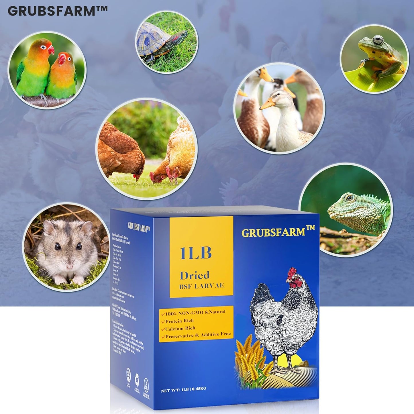 premium-dried-black-soldier-fly-larvae-for-chickens-1lb---high-calcium-supplement-for-molting-laying-hens---non-gmo-bsf-larvae-treats---superior-to-mealworms-6