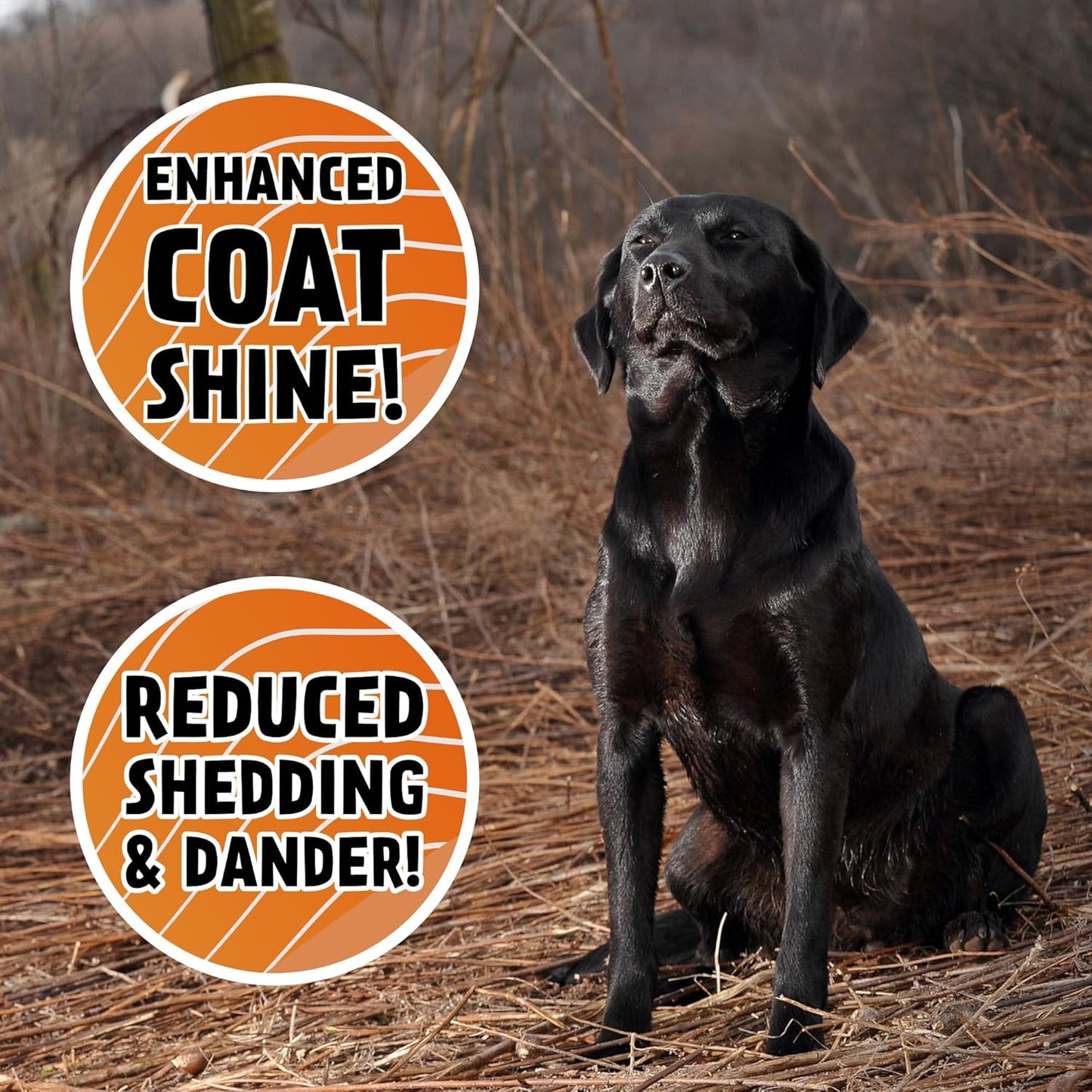 32-oz-dogbone-salmon-oil-for-dogs-omega-3-joint-supplement-vitamins-supplements-wild-alaskan-fish-oil-for-skin-coat-4