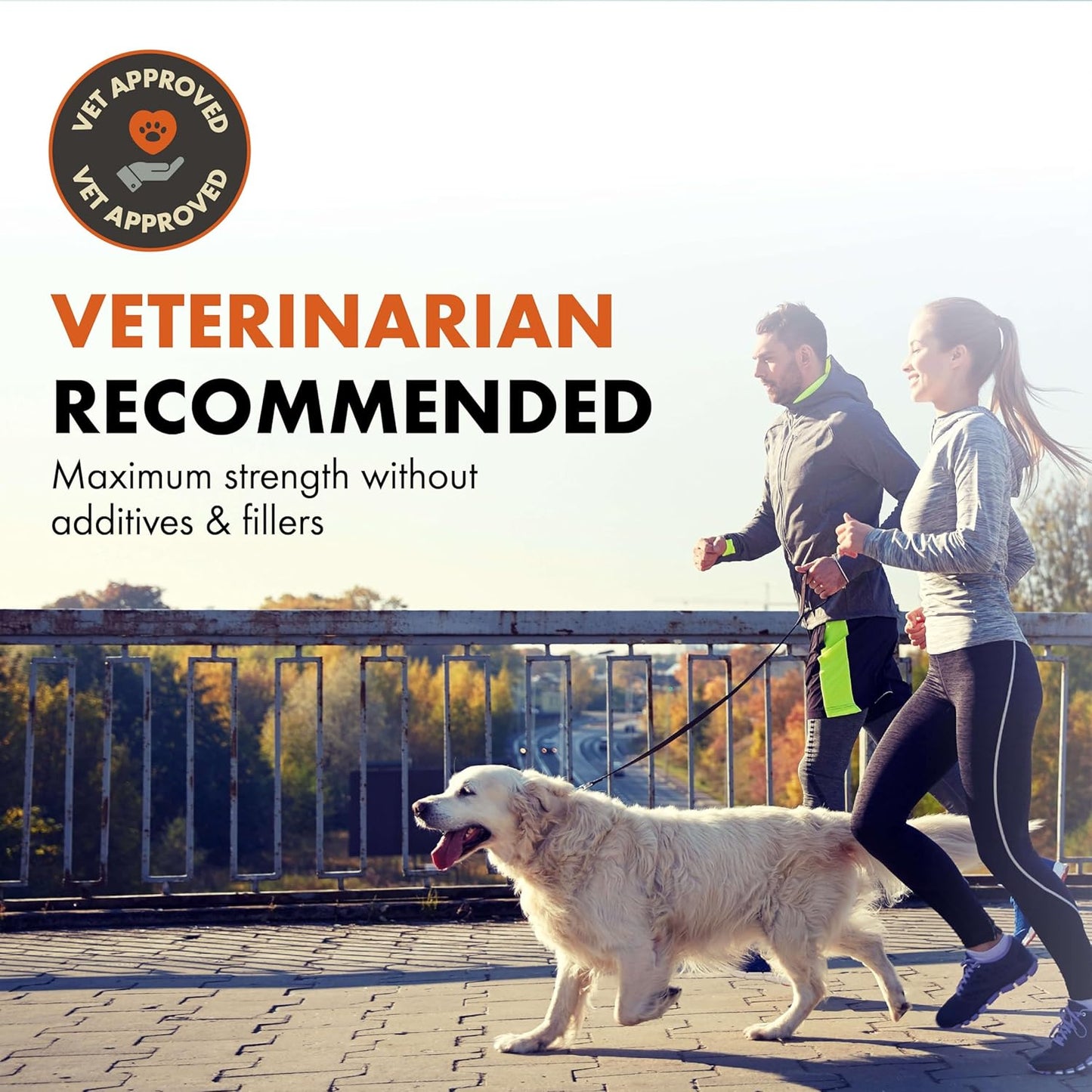 alpha-dog-nutrition-balance-probiotic-blend-for-canines---gut-health-supplement-with-probiotics-and-prebiotics-2