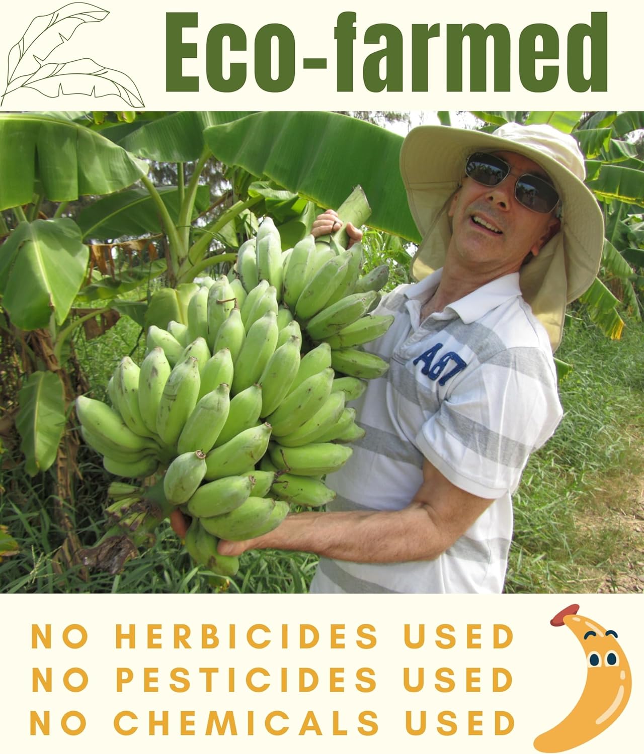 Organic Green Banana Powder - Blue Orchid Superfood Prebiotic Smoothie Flour - Gluten-Free Grain-Free Baking Substitute - 14 OZ - Espot.com.au