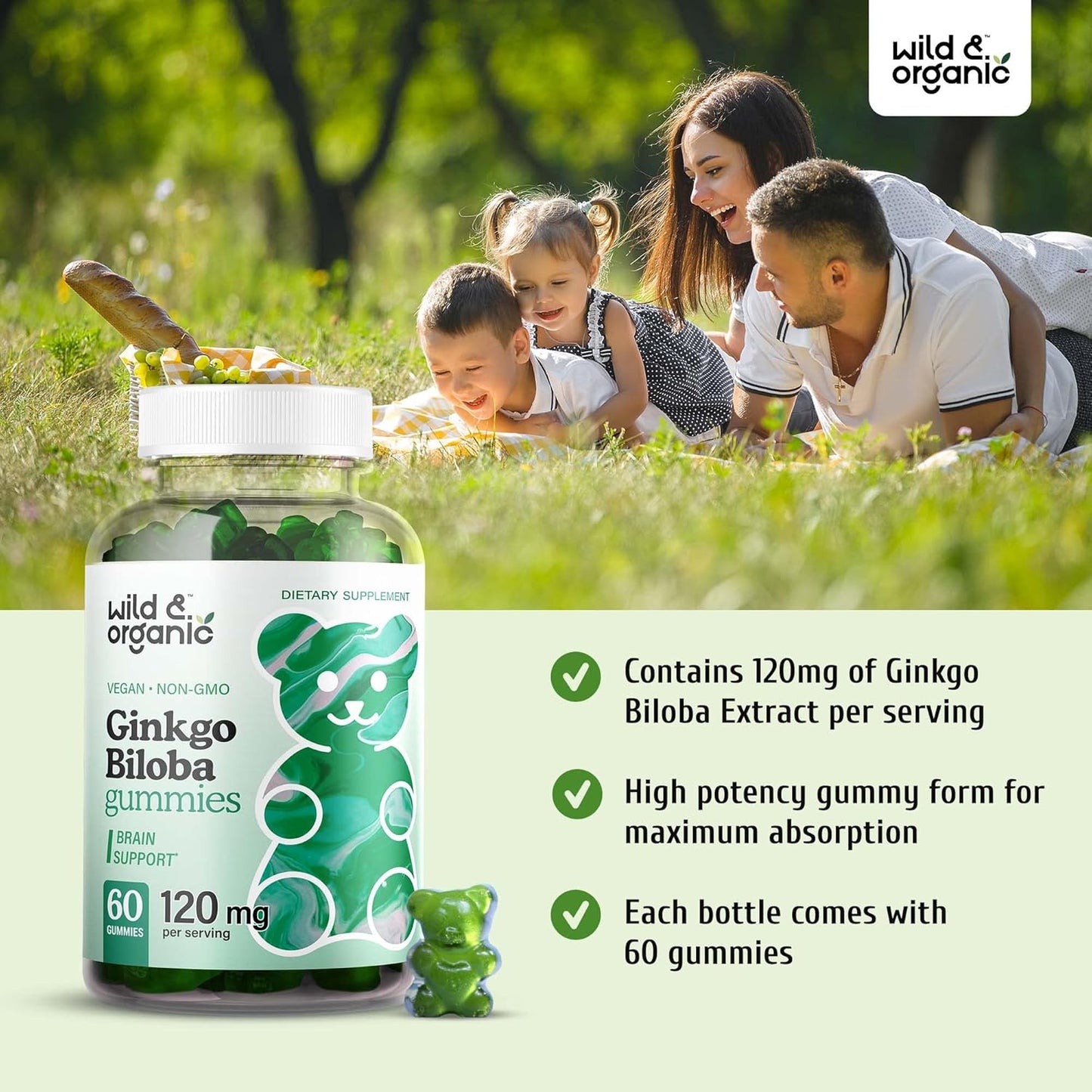 organic-korean-panax-red-ginseng-ginkgo-biloba-superfood-gummy-vitamins-bundle---energy-and-brain-support---2-pack-of-60-chews-each-9