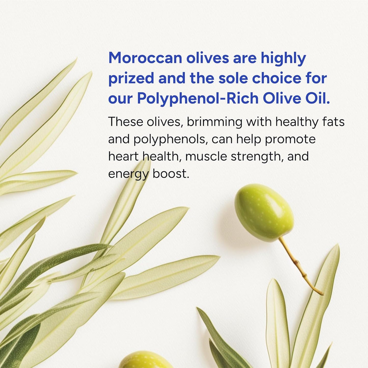 Organic Extra Virgin Moroccan Olive Oil by Gundry MDĀ® - First Cold Pressed, Rich in Polyphenols - Espot.com.au
