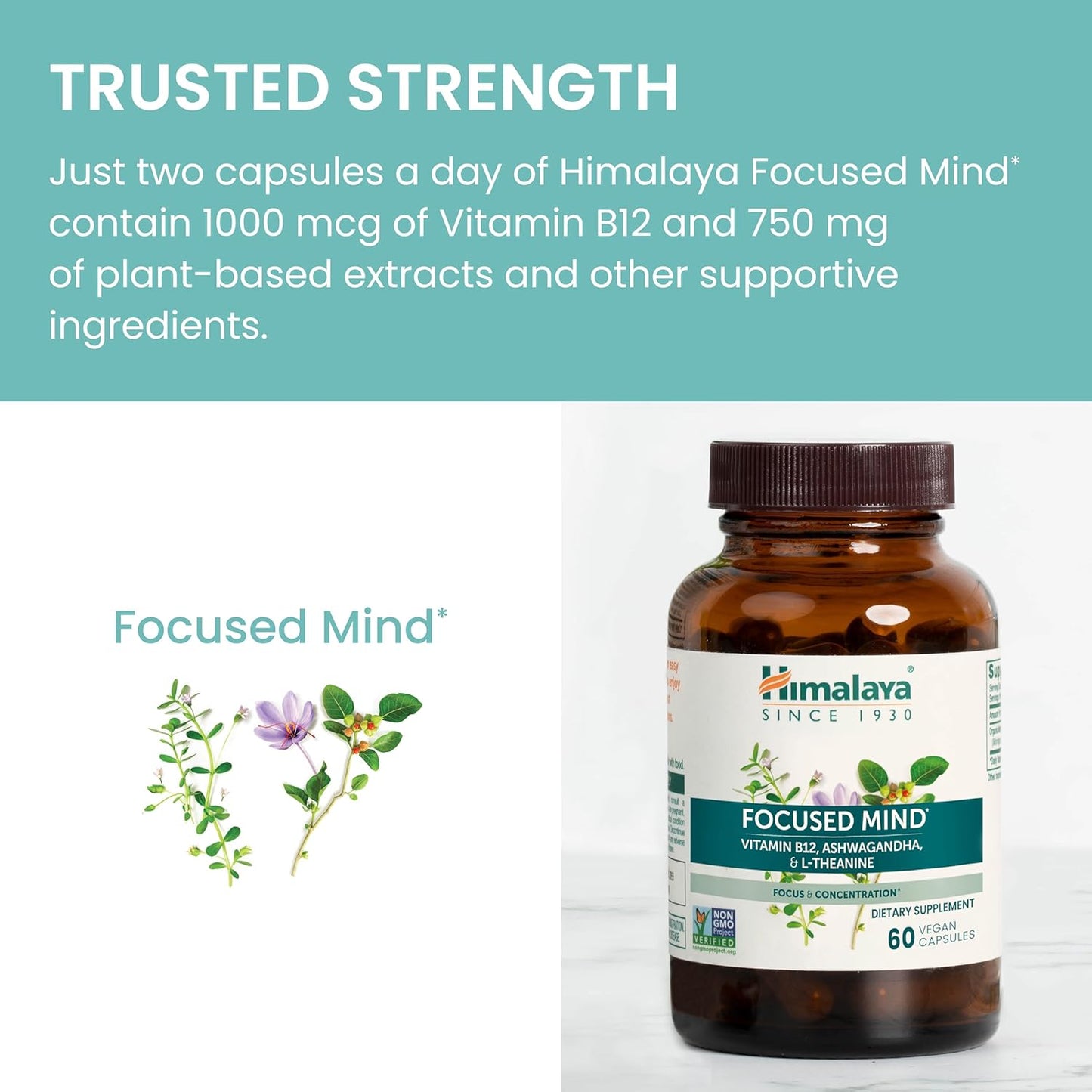 Himalaya Focused Mind Capsules with Ashwagandha & Bacopa - Energy & Focus Support - 60 Vegan Capsules, Gluten Free - 1 Month Supply - Espot.com.au