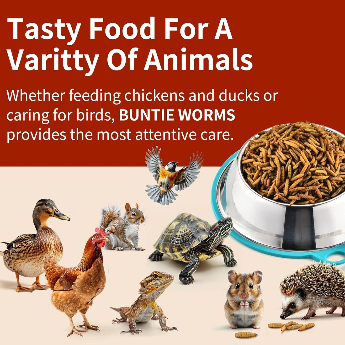 5lb-buntie-worms-dried-black-soldier-fly-larvae---high-protein-chicken-feed-non-gmo-calcium-rich-treat-for-laying-hens-ducks-wild-birds---100-natural-6