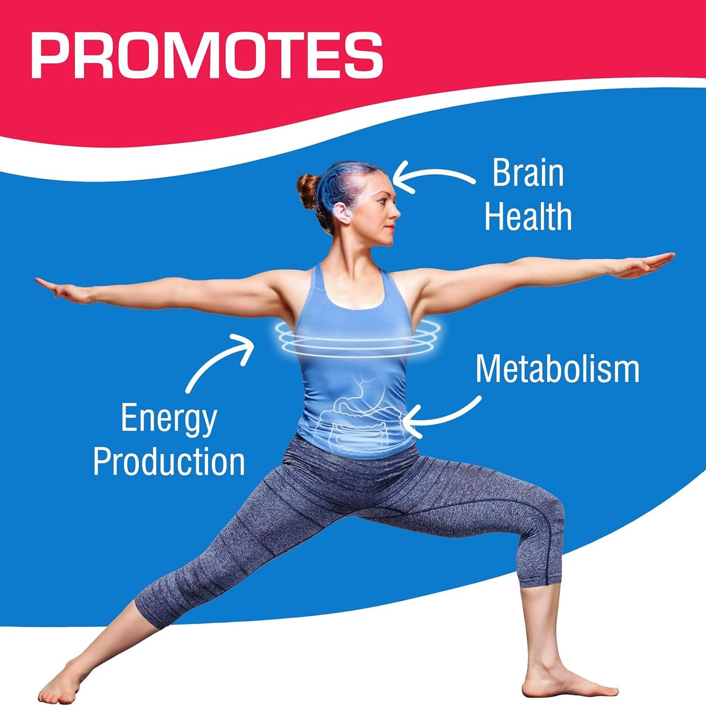 anabolic-laboratories-acetyl-l-carnitine-capsules---30-vegetarian-brain-health-energy-supplements-4
