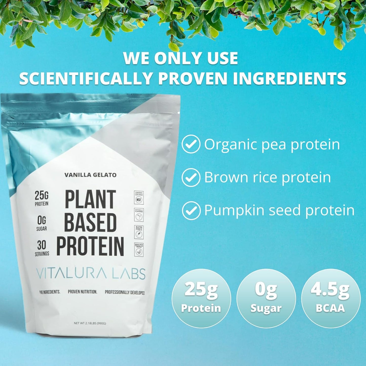 vitalura-labs-nsf-certified-plant-based-protein-powder---vanilla-gelato-flavored---30-servings-25g-protein-per-serving-3