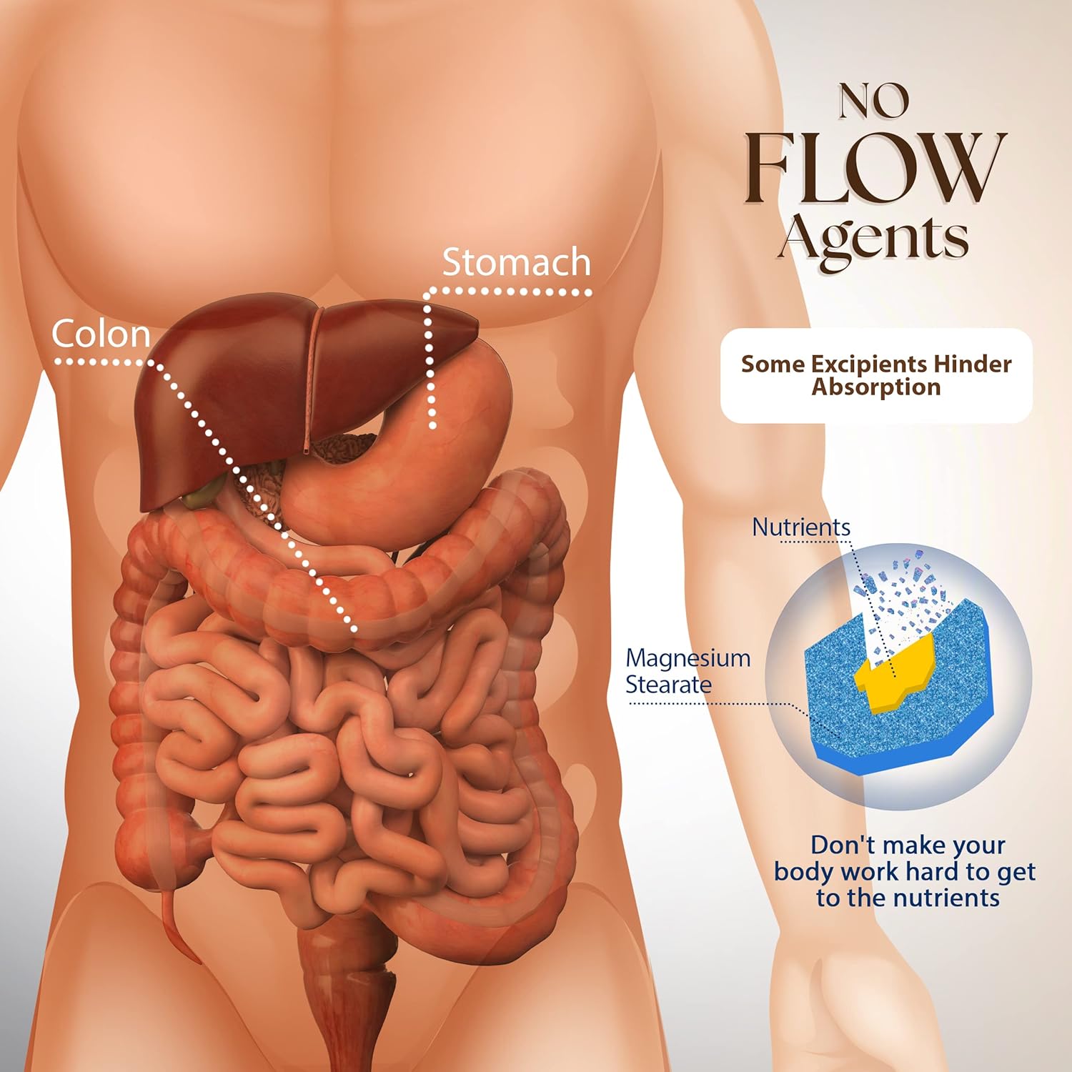 dr-clark-store-detox-trio-clove-wormwood-green-black-walnut-hull---set-of-3-items-5