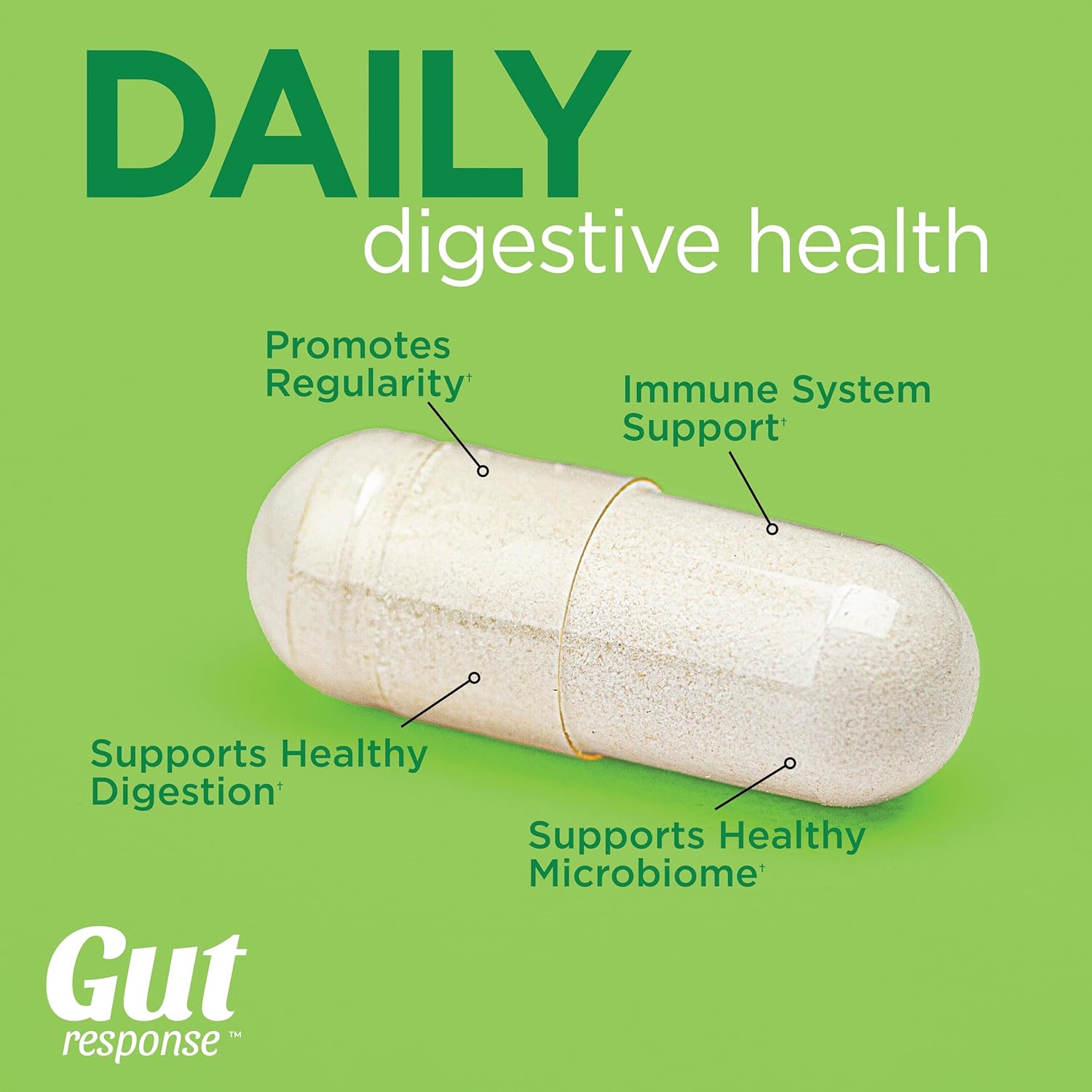 daily-probiotic-for-men-women---supports-digestive-health-boosts-immune-system-reduces-bloating---non-gmo-gluten-soy-free---10-billion-cfu---30-capsules-3