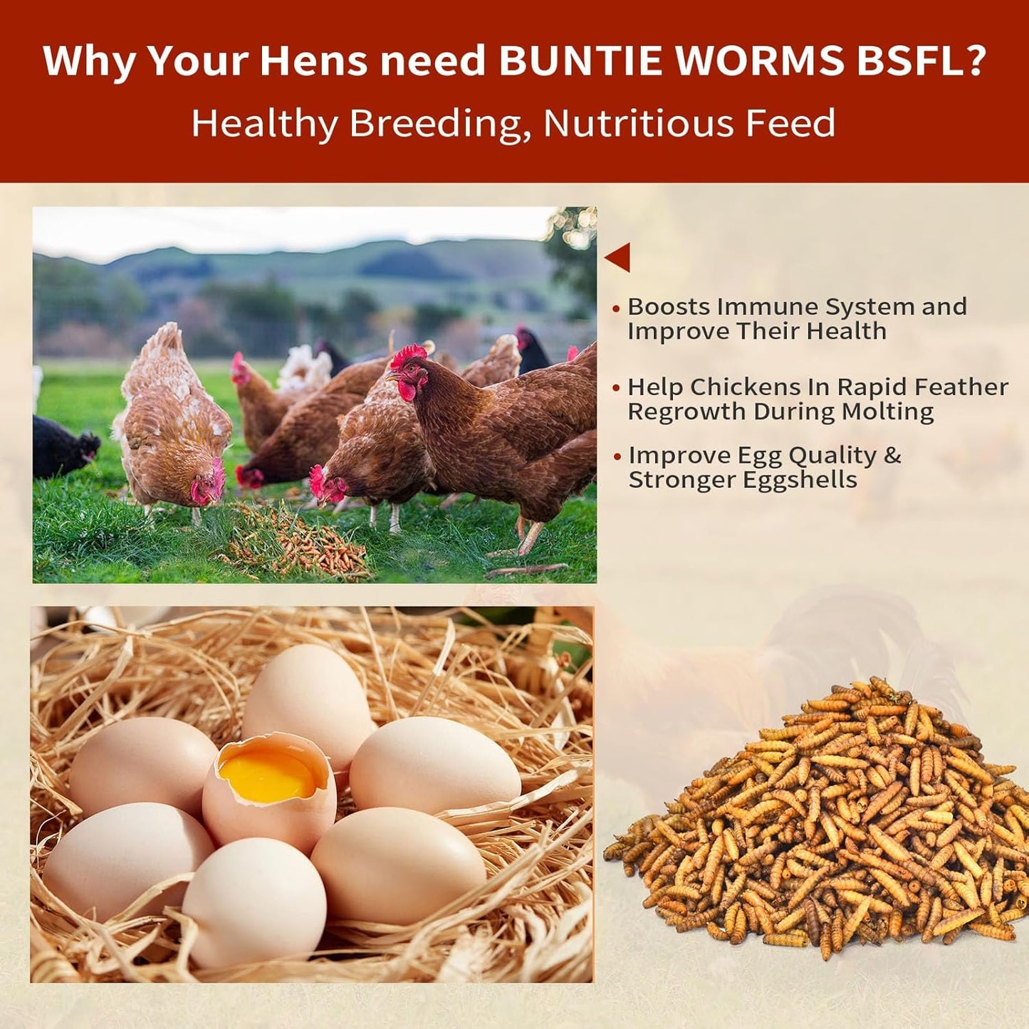 5lb-buntie-worms-dried-black-soldier-fly-larvae---high-protein-chicken-feed-non-gmo-calcium-rich-treat-for-laying-hens-ducks-wild-birds---100-natural-3