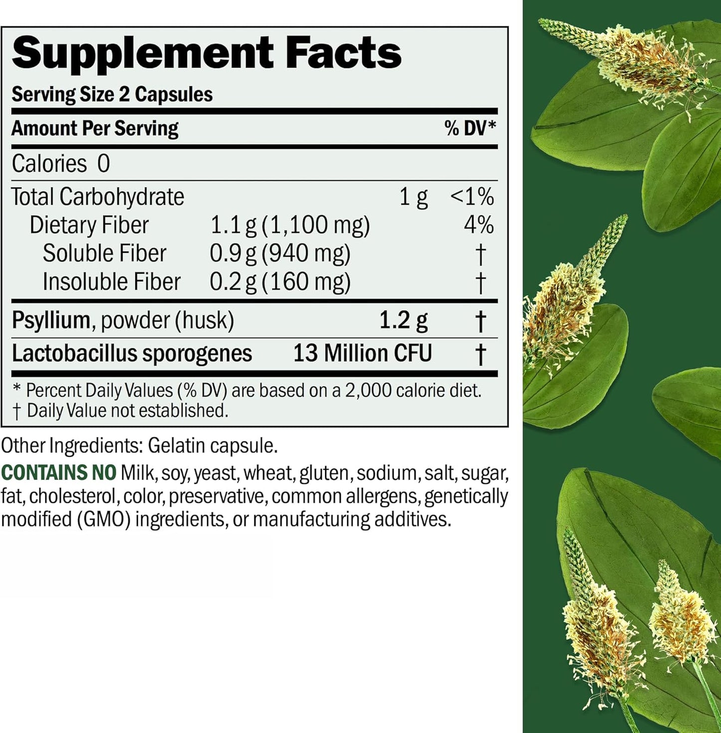 fibermucil-180-capsules---psyllium-husk-powder-for-digestive-health---gentle-effective-fiber-supplement---easy-to-swallow-capsules-2