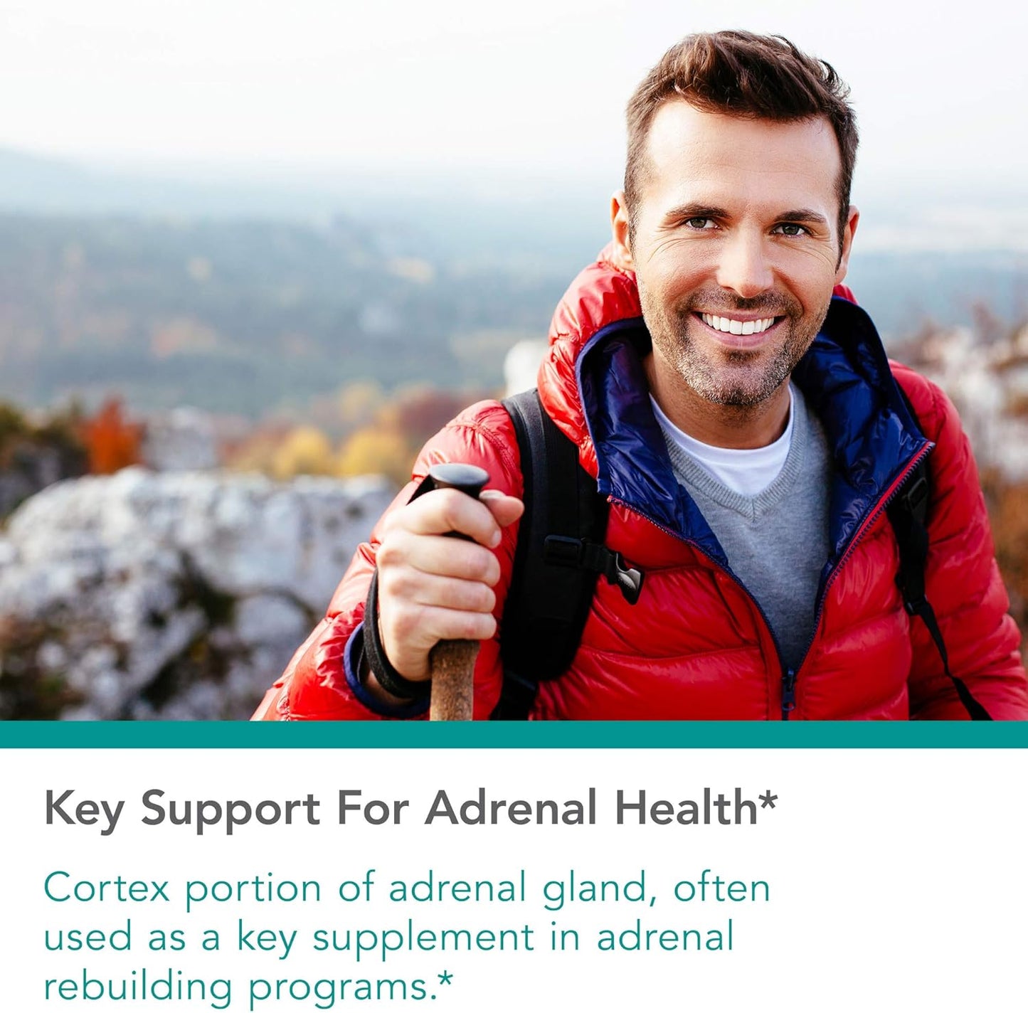 adrenal-support-supplement-for-immune-endocrine-health---men-women-100mg-adrenal-extract-bovine-lyophilized---100-count-3