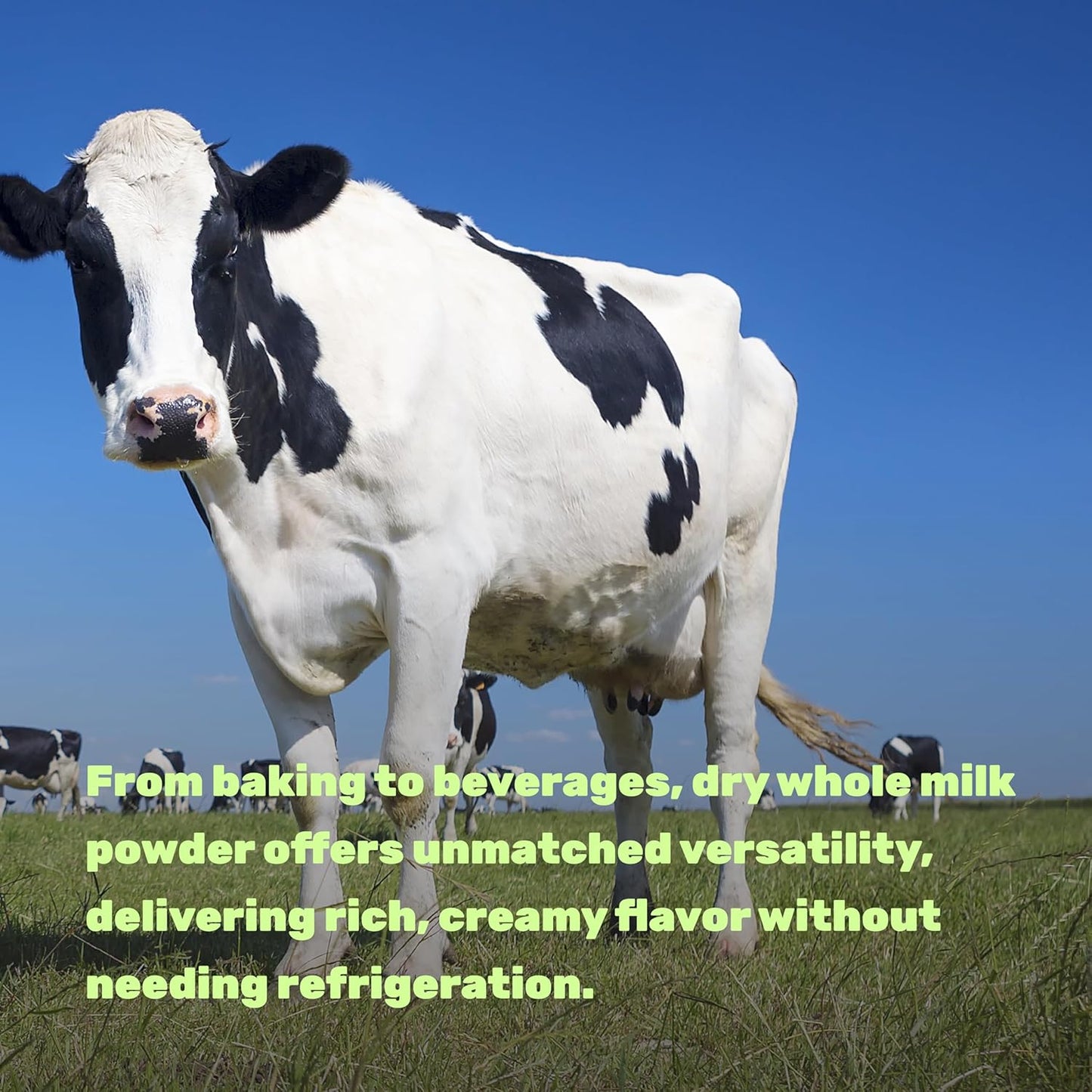 3lbs-natural-pasture-raised-source-dry-whole-milk-powder-for-baking-cooking---made-in-usa---9g-protein-per-serving---non-gmo-filler-free-4
