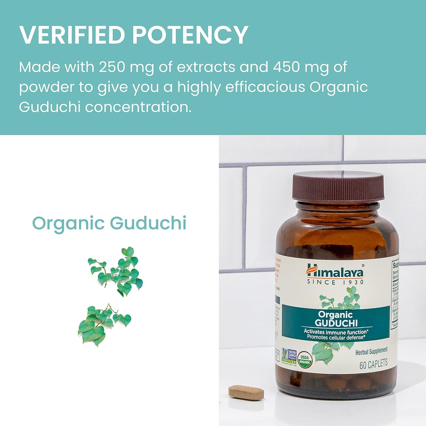 organic-himalaya-guduchi-caplets---immune-support-cellular-defense---700mg---60-count-x-2---2-month-supply-6
