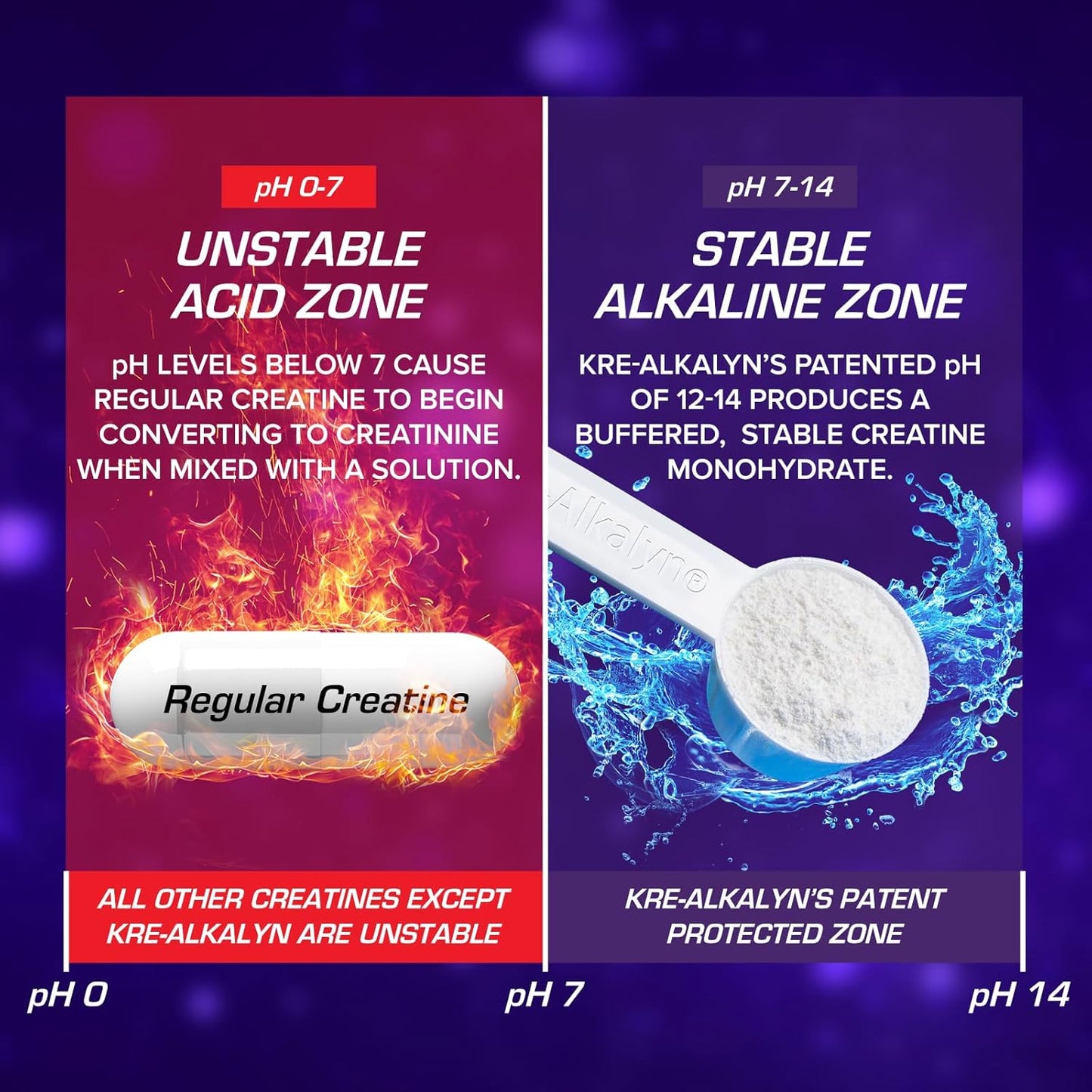 kre-alkalyn-efx-powder---ph-correct-creatine-monohydrate-supplement-for-strength-muscle-growth---110-servings---mango-flavor-6