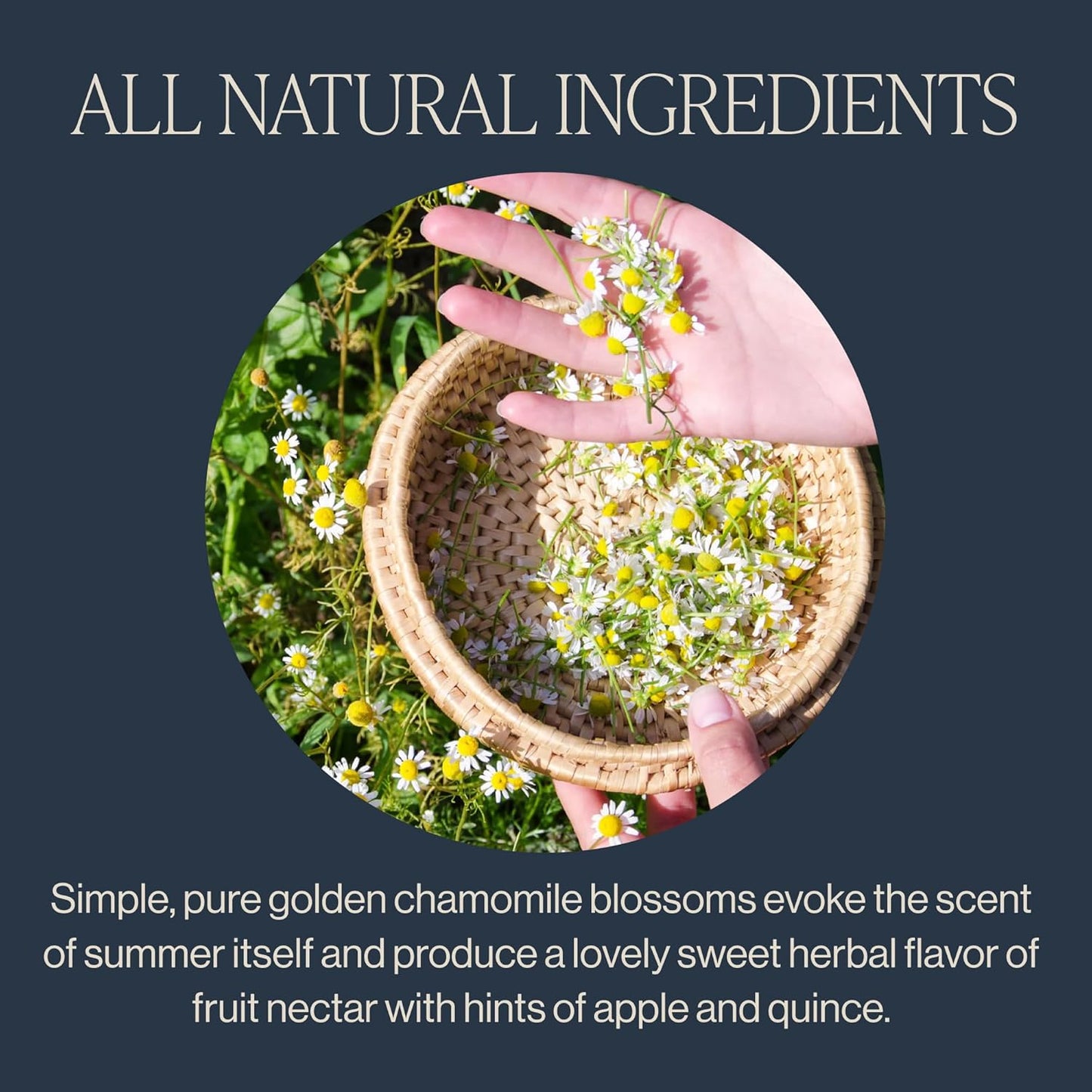 organic-golden-chamomile-blossoms-herbal-tea---caffeine-free-loose-leaf-infusion-for-sleep-relaxation---881oz-62-servings-3