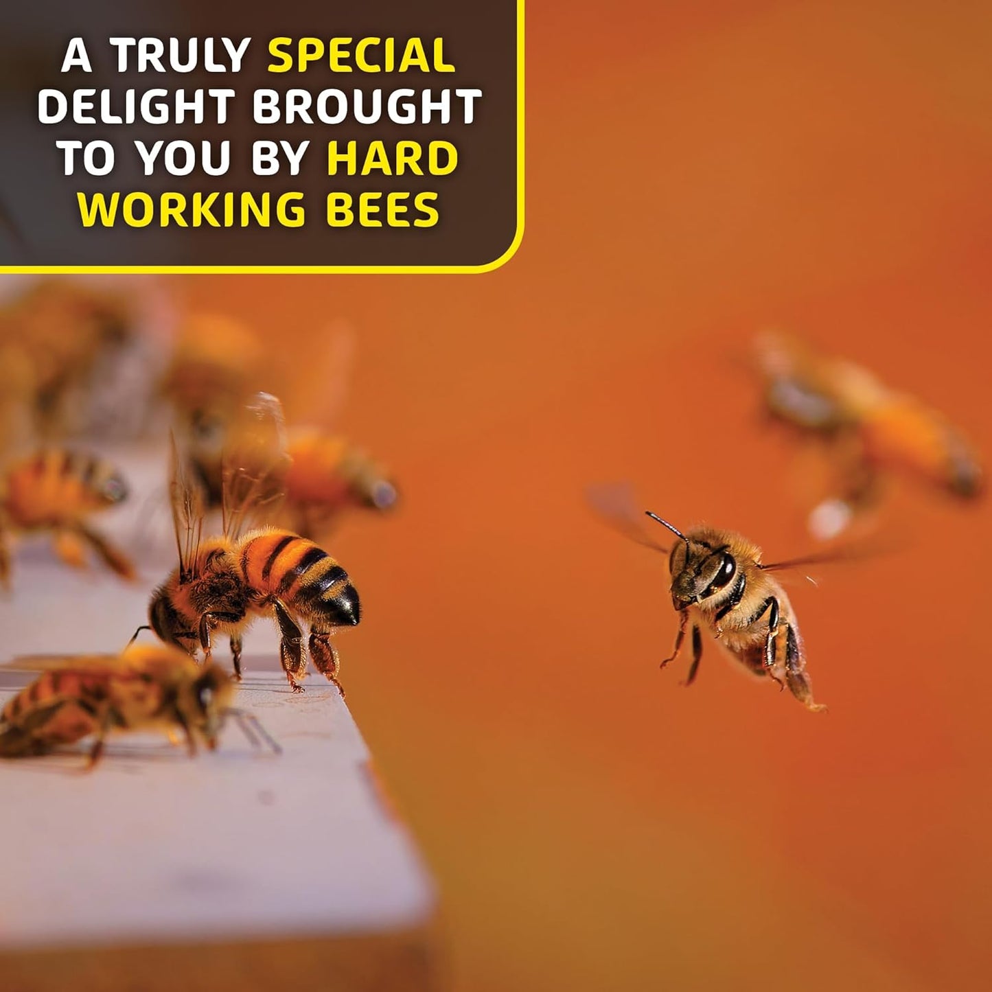 8.8 Oz Helio Hives Bee Pollen Granules: Western Australia Pure Superfood for Optimal Health & Superior Taste