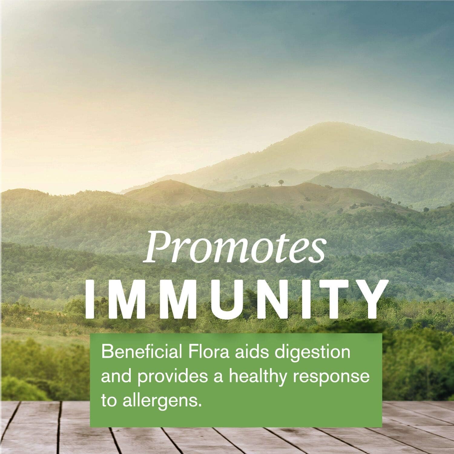 90 Capsules Nature's Sunshine Bifidophilus Flora Force - Probiotic Supplement for Gut Health