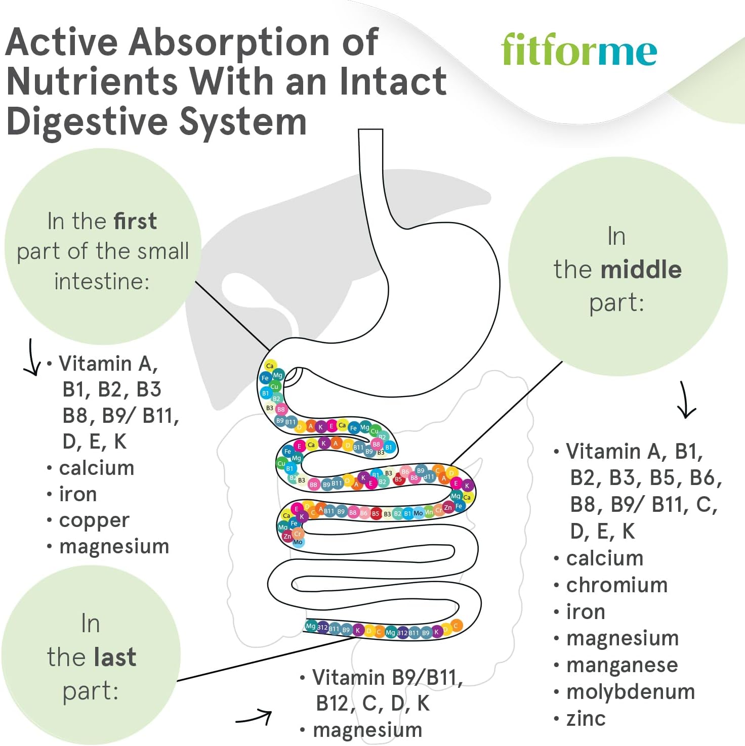 90 Day Supply of FitForMe Bariatric Multivitamins with Iron for Gastric Sleeve Patients - One Daily Capsule for WLS - Scientifically Proven Essential Nutrients
