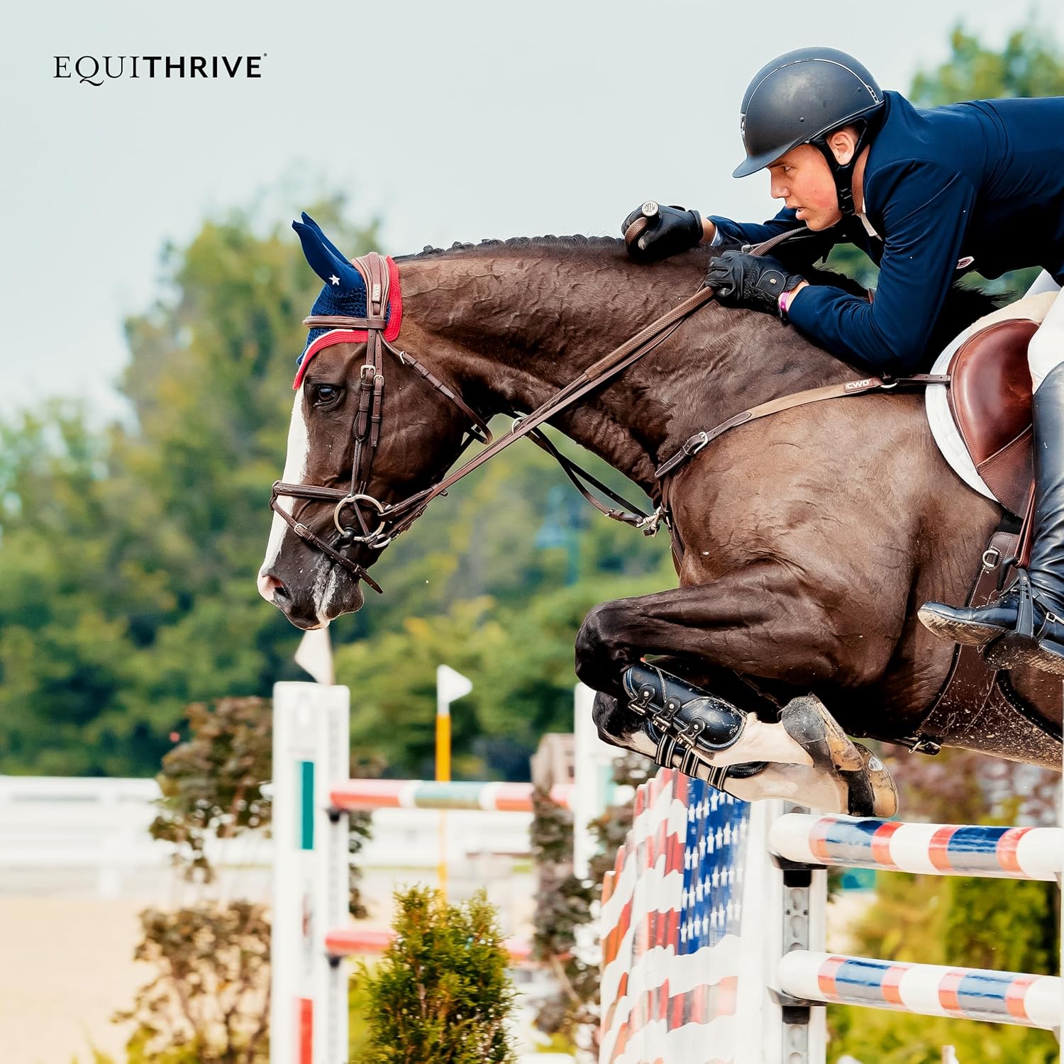 Equithrive Electrolyte Pellets & Mineral Supplement for Horses - 4 lbs, 20 Day Supply - Ideal for Training & Competition - Espot.com.au