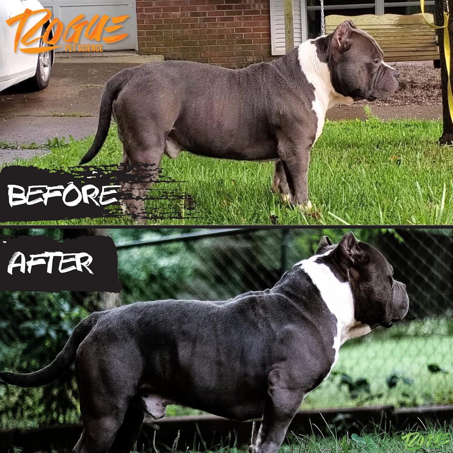 rogue-pet-science-healthy-weight---natural-high-calorie-dog-cat-food-topper-for-weight-gain-gut-health-energy---12-lb-6