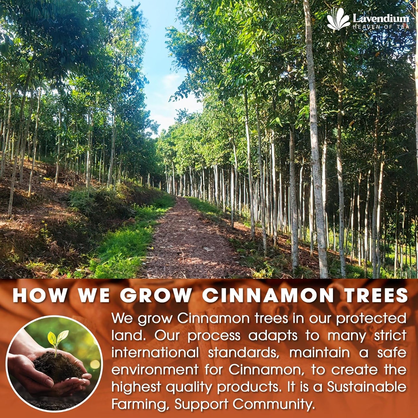 30-lavendium-cinnamon-herbal-tea-bags---100-natural-no-additives-no-caffeine-vegan---made-from-cinnamon-sticks-4