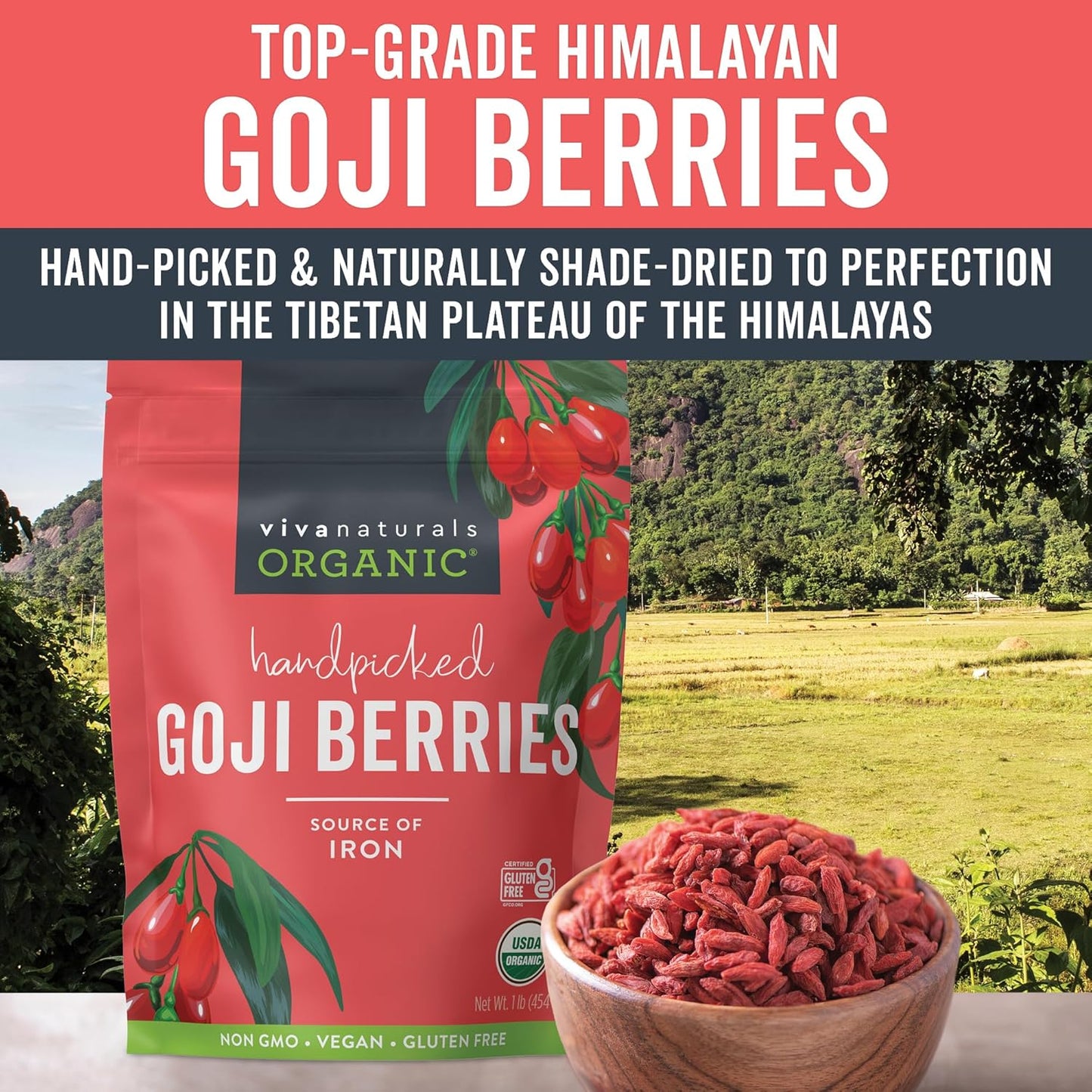 organic-dried-goji-berries---1-lb-non-gmo-vegan-berries-for-powder-tea-smoothies-baking-snacks---454-g-pack-5