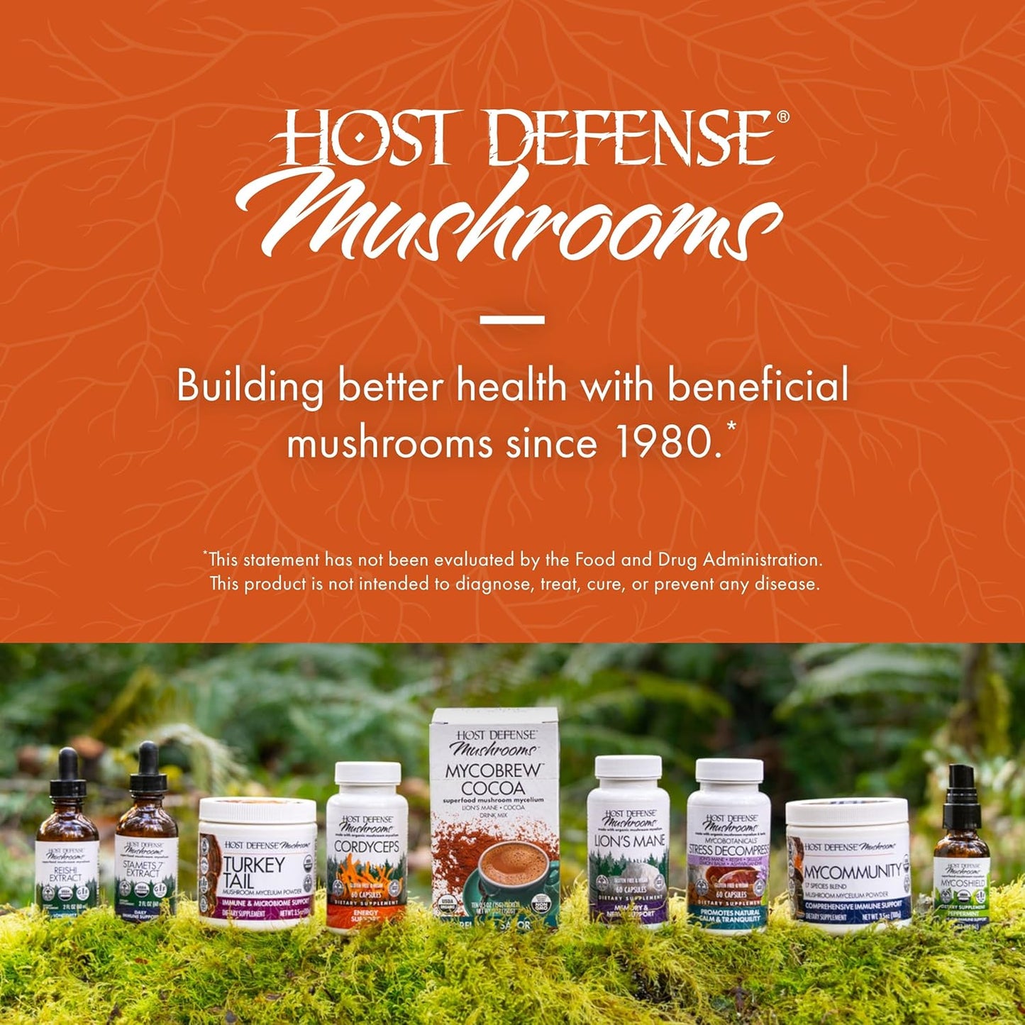 mycobotanicals-energy-capsules---herbal-green-tea-supplement-for-energy-respiratory-support---with-cordyceps-reishi-chaga---60-capsules-7